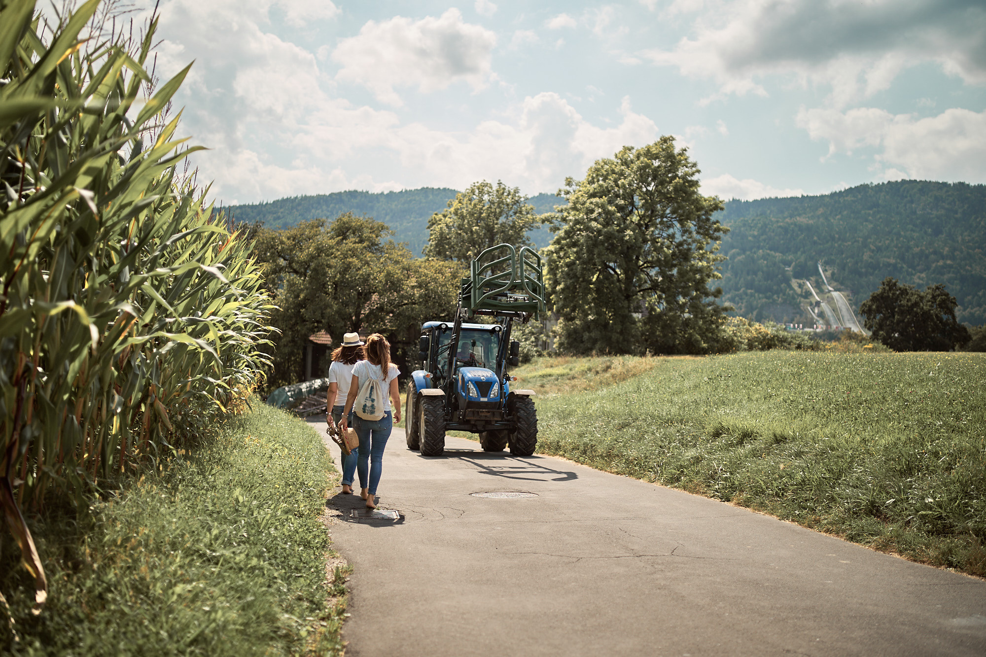 FRIENDS WILL BE FRIENDS. Professional garden design and photography services in London