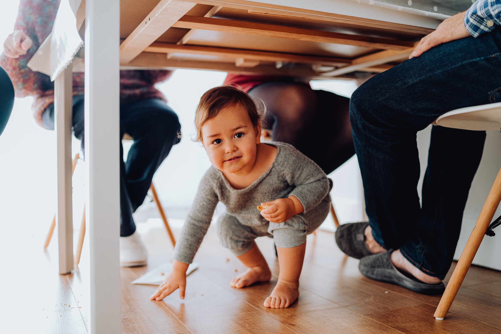 Christmas Time. Профессиональные услуги по садовому дизайну и фотосъёмке в Лондоне