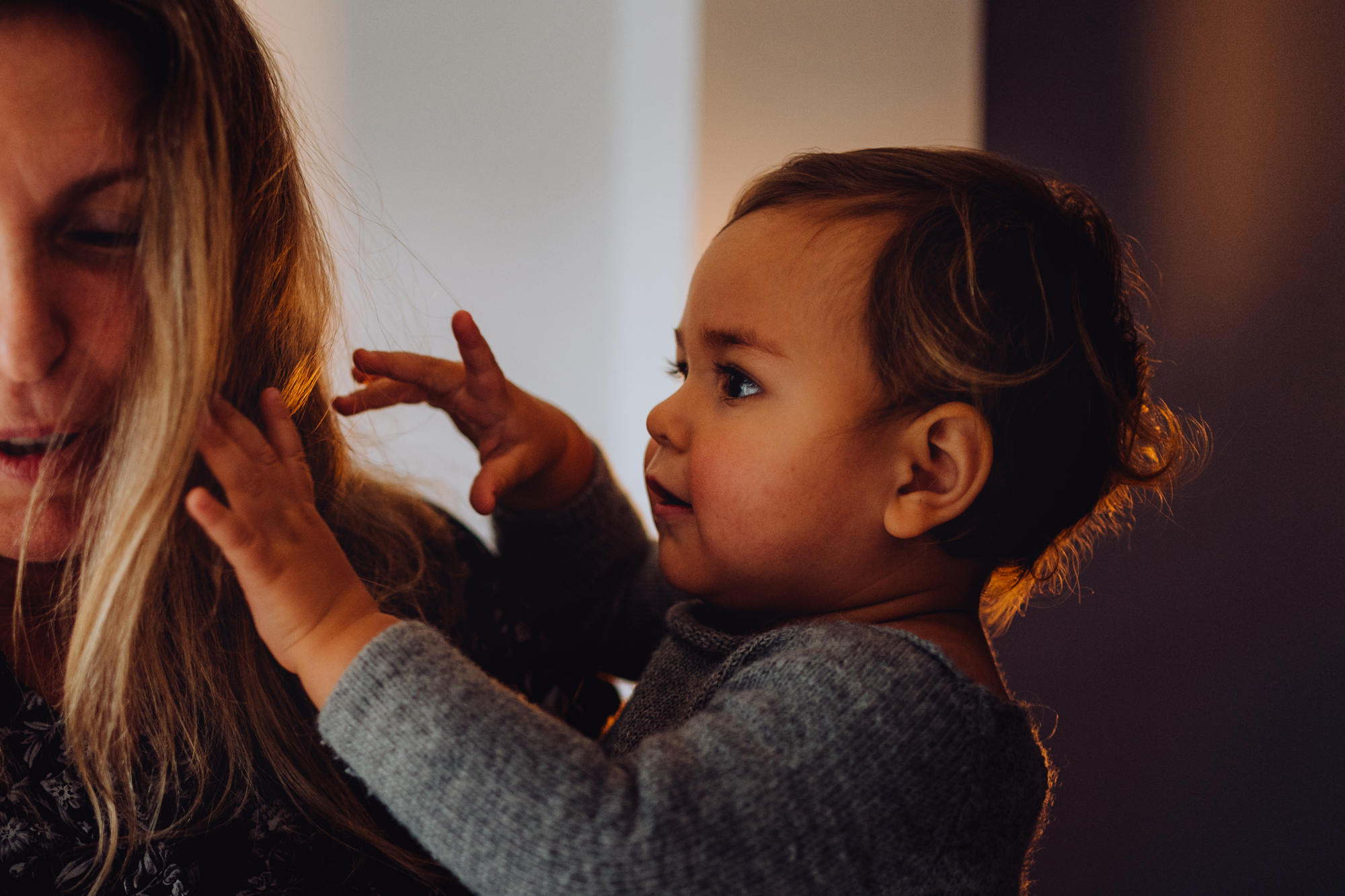 Christmas Time. Профессиональные услуги по садовому дизайну и фотосъёмке в Лондоне
