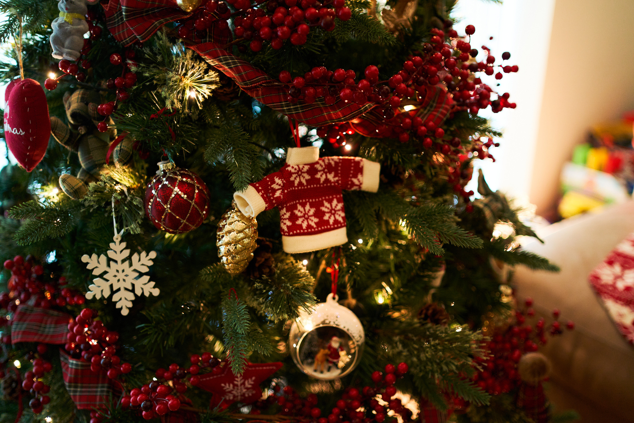 FIRST CHRISTMAS. Professional garden design and photography services in London