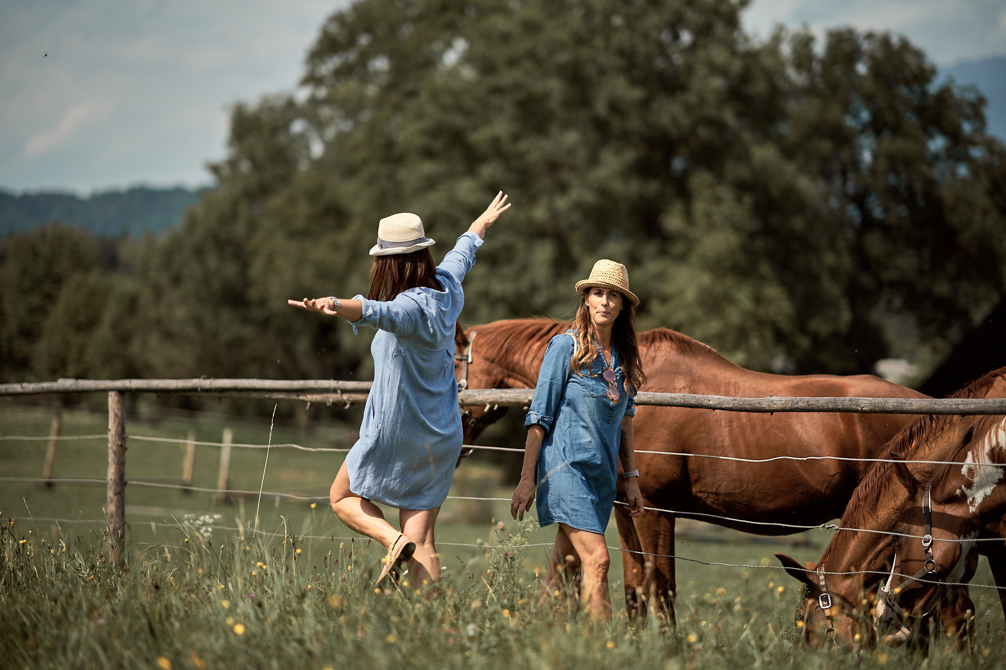 FRIENDS WILL BE FRIENDS. Professional garden design and photography services in London