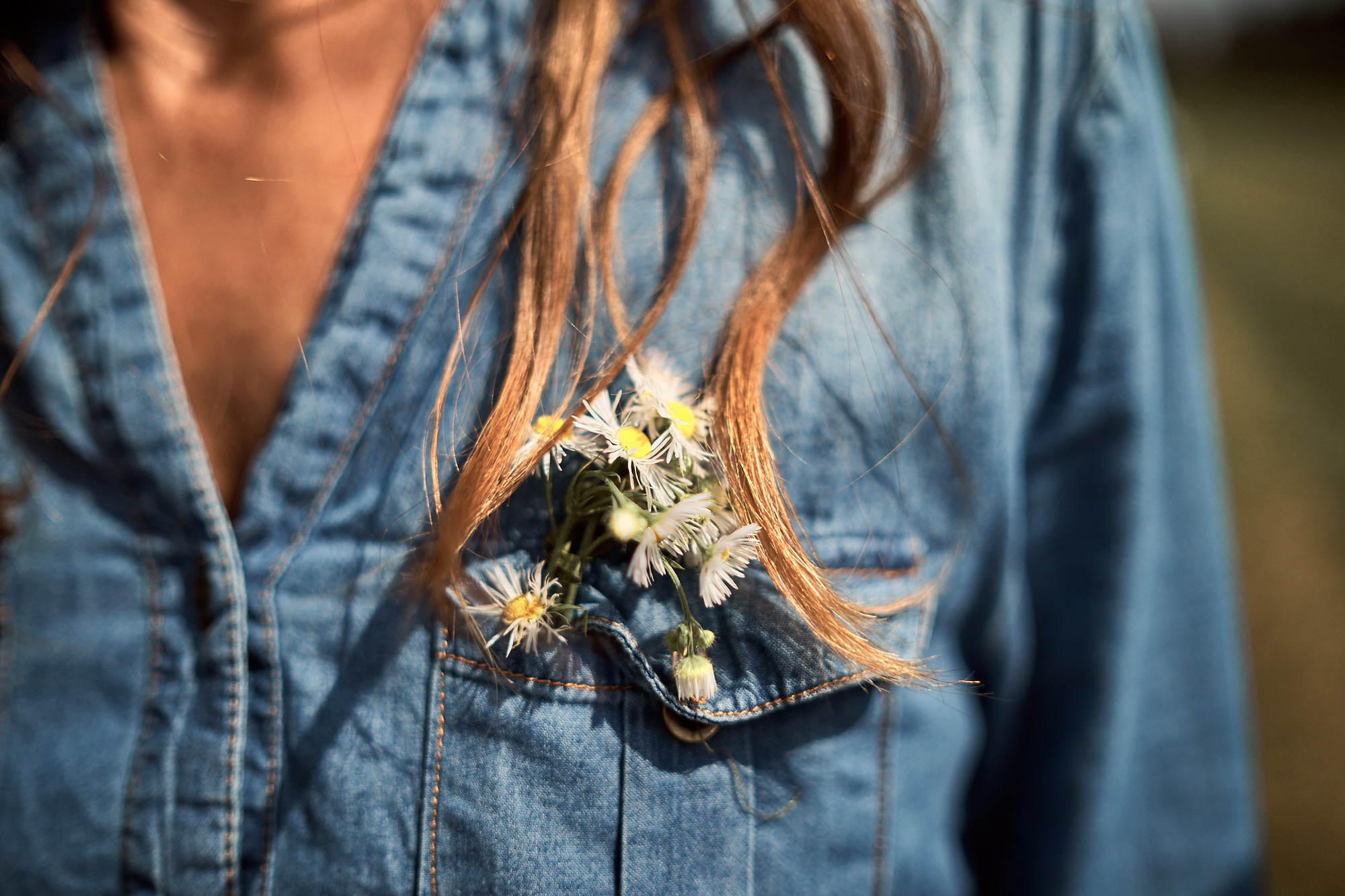 FRIENDS WILL BE FRIENDS. Professional garden design and photography services in London