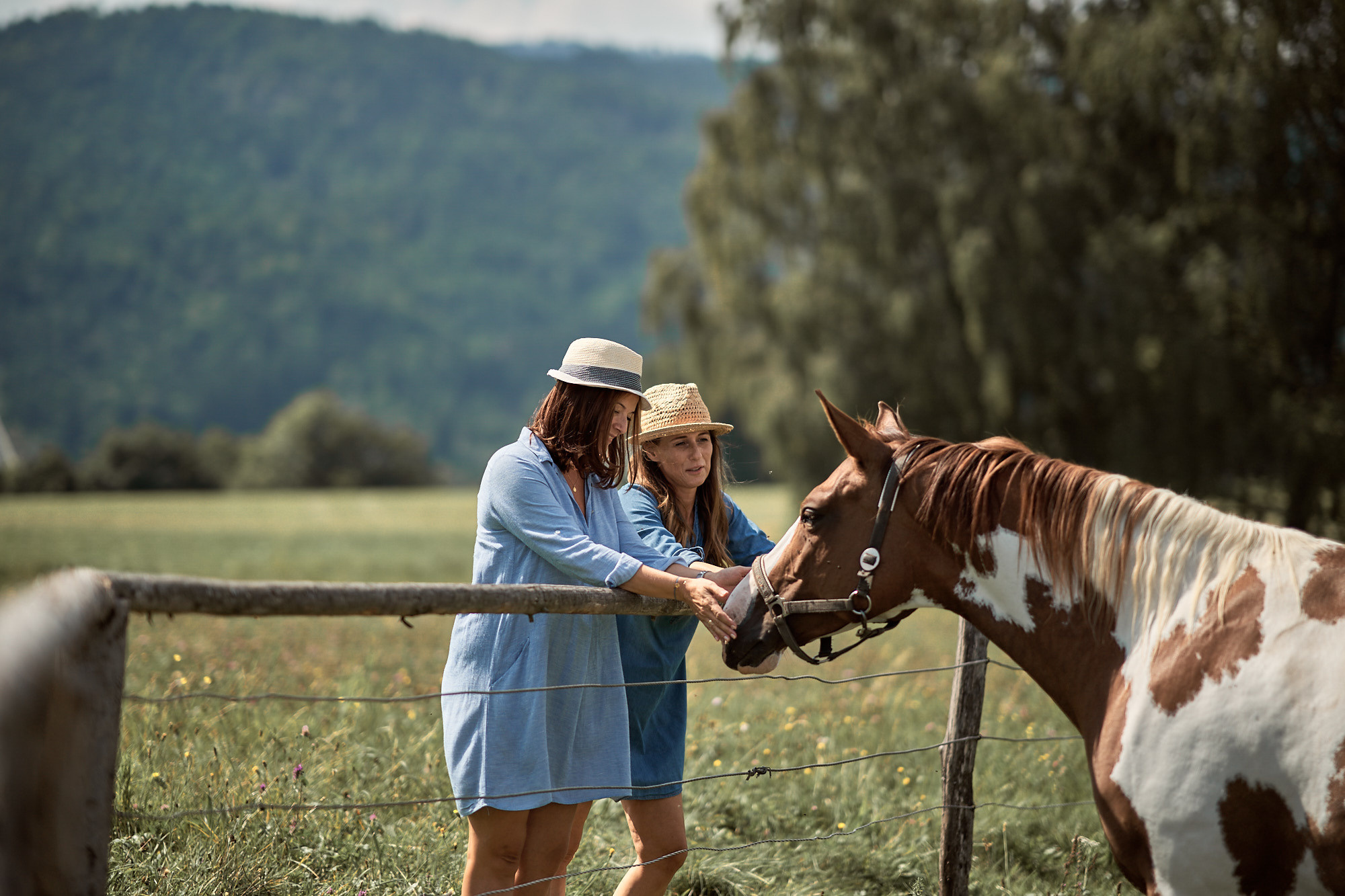 FRIENDS WILL BE FRIENDS. Professional garden design and photography services in London