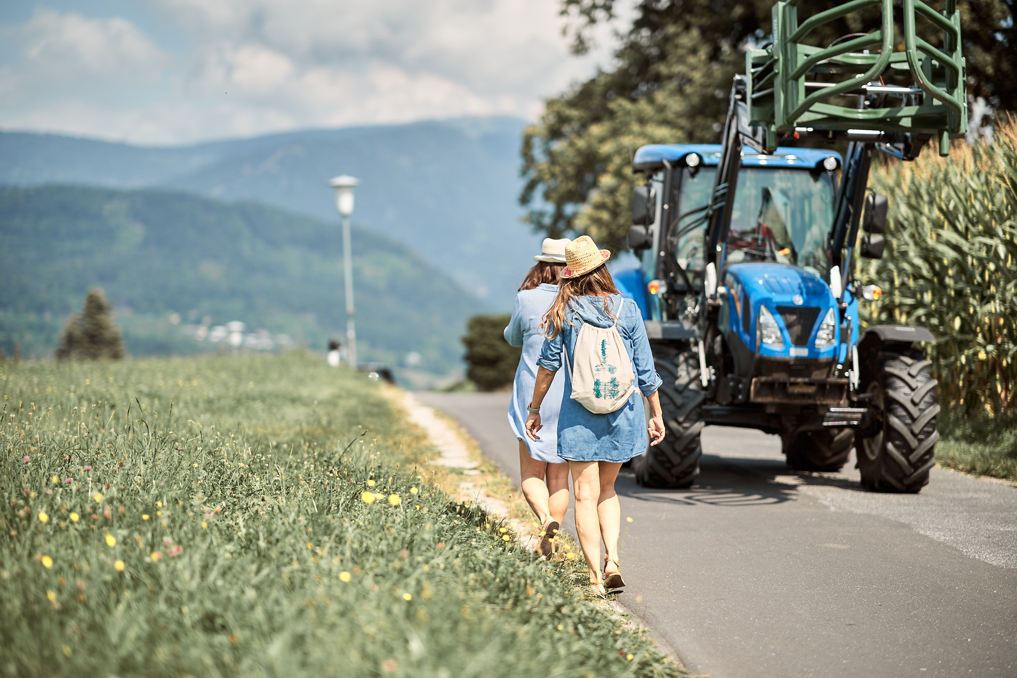 FRIENDS WILL BE FRIENDS. Professional garden design and photography services in London