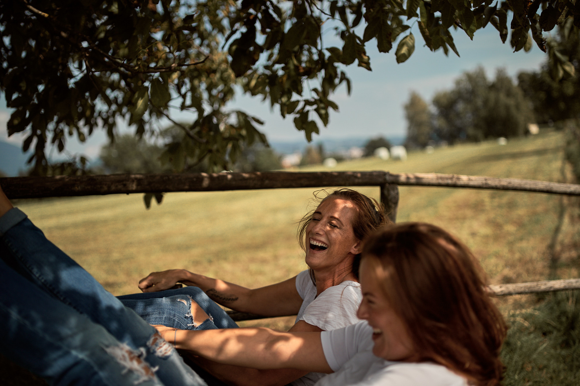 FRIENDS WILL BE FRIENDS. Professional garden design and photography services in London