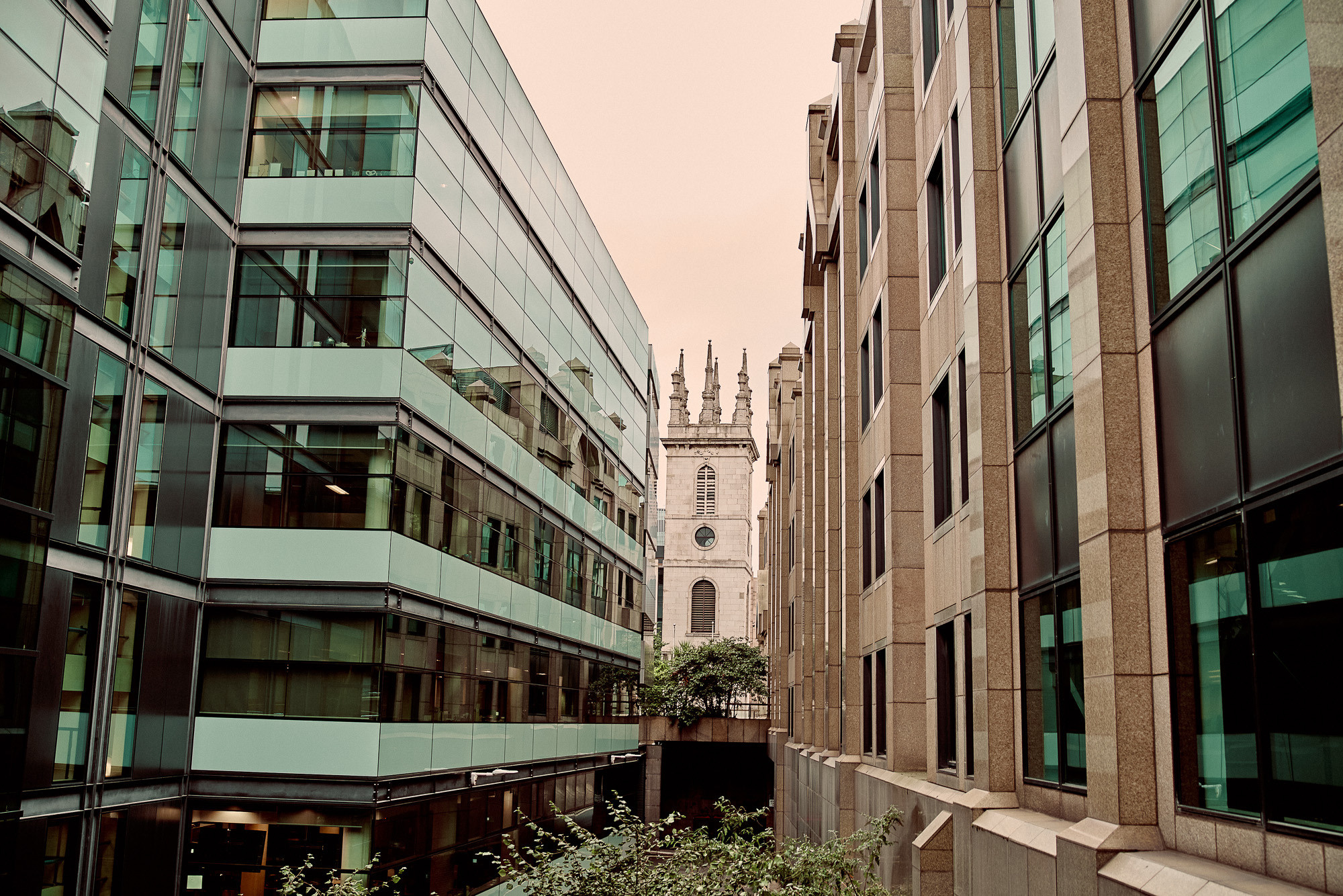 LOVE STORY LONDON. Professionelle Gartenplanung und Fotografiedienstleistungen in London