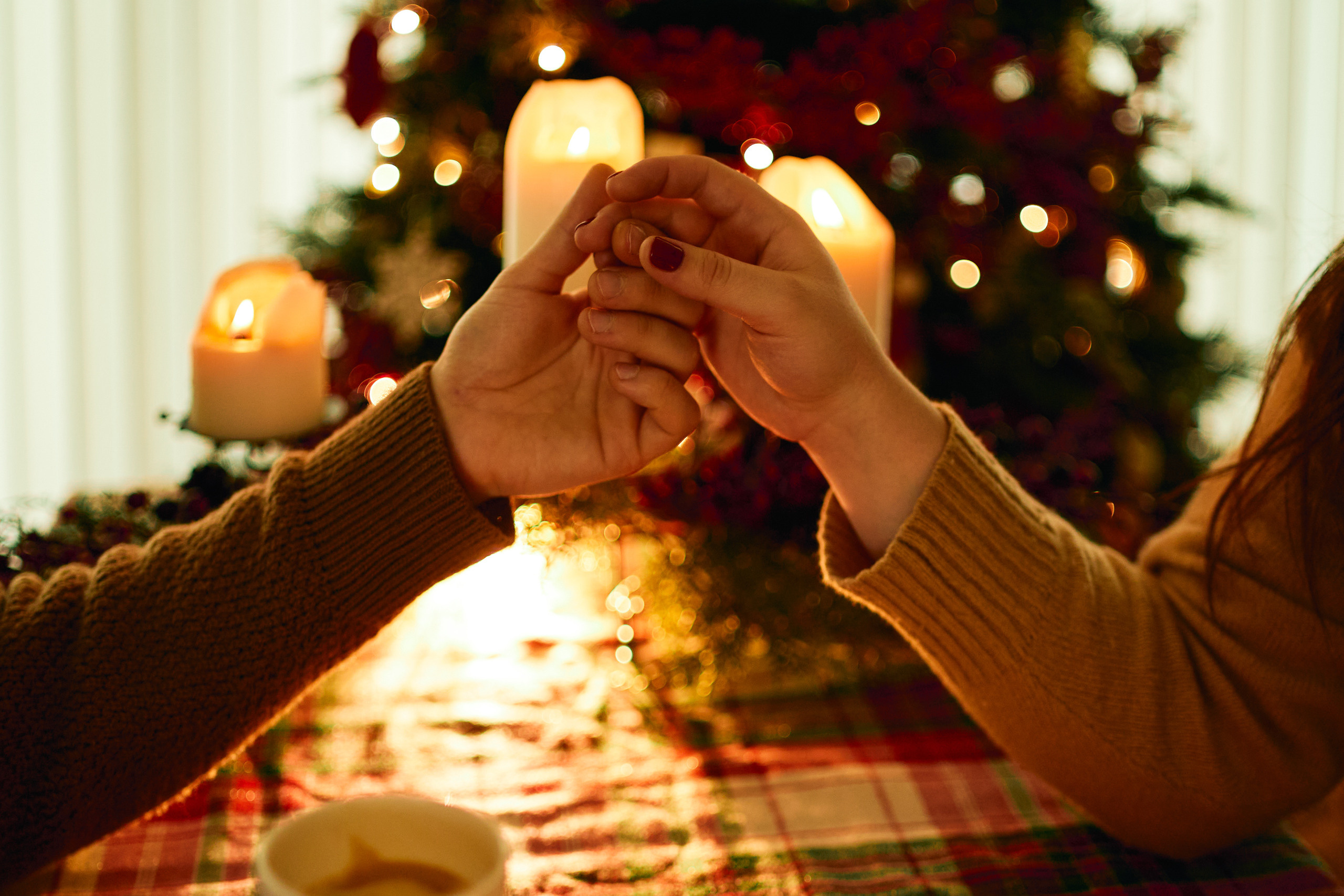 FIRST CHRISTMAS. Professional garden design and photography services in London