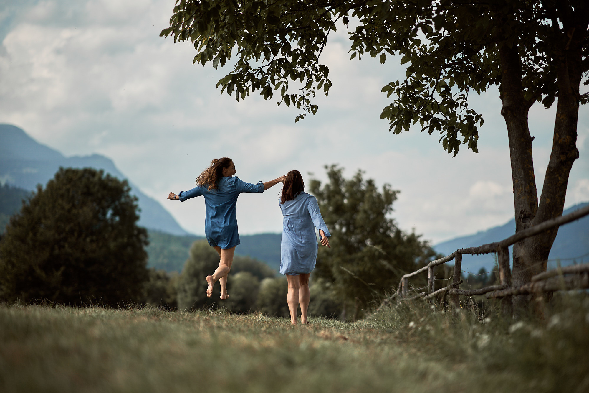 FRIENDS WILL BE FRIENDS. Professional garden design and photography services in London