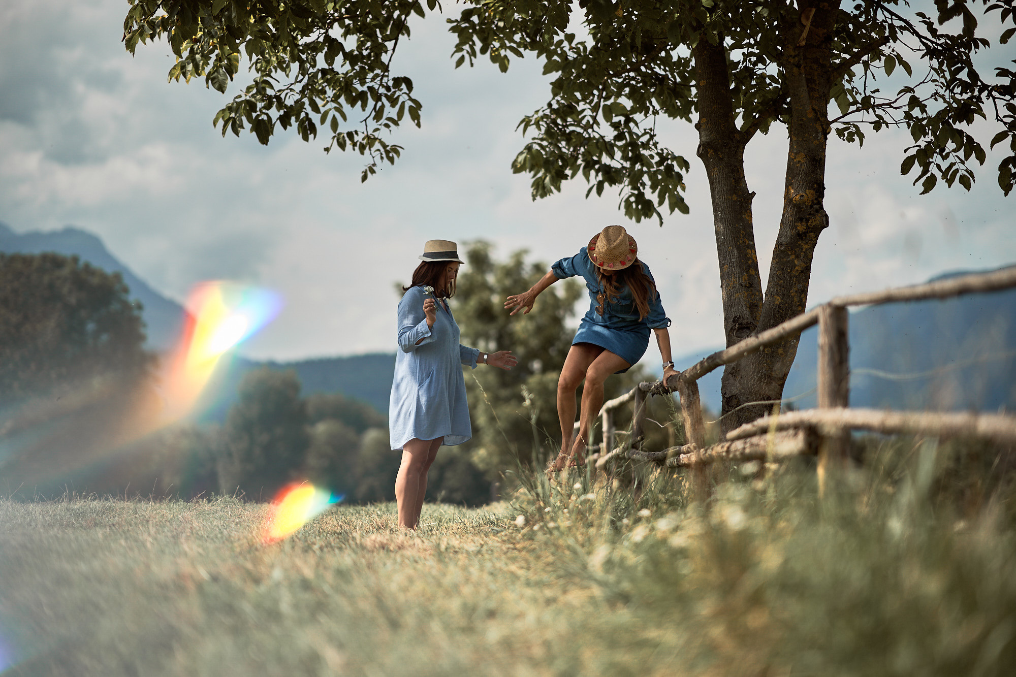 FRIENDS WILL BE FRIENDS. Professional garden design and photography services in London