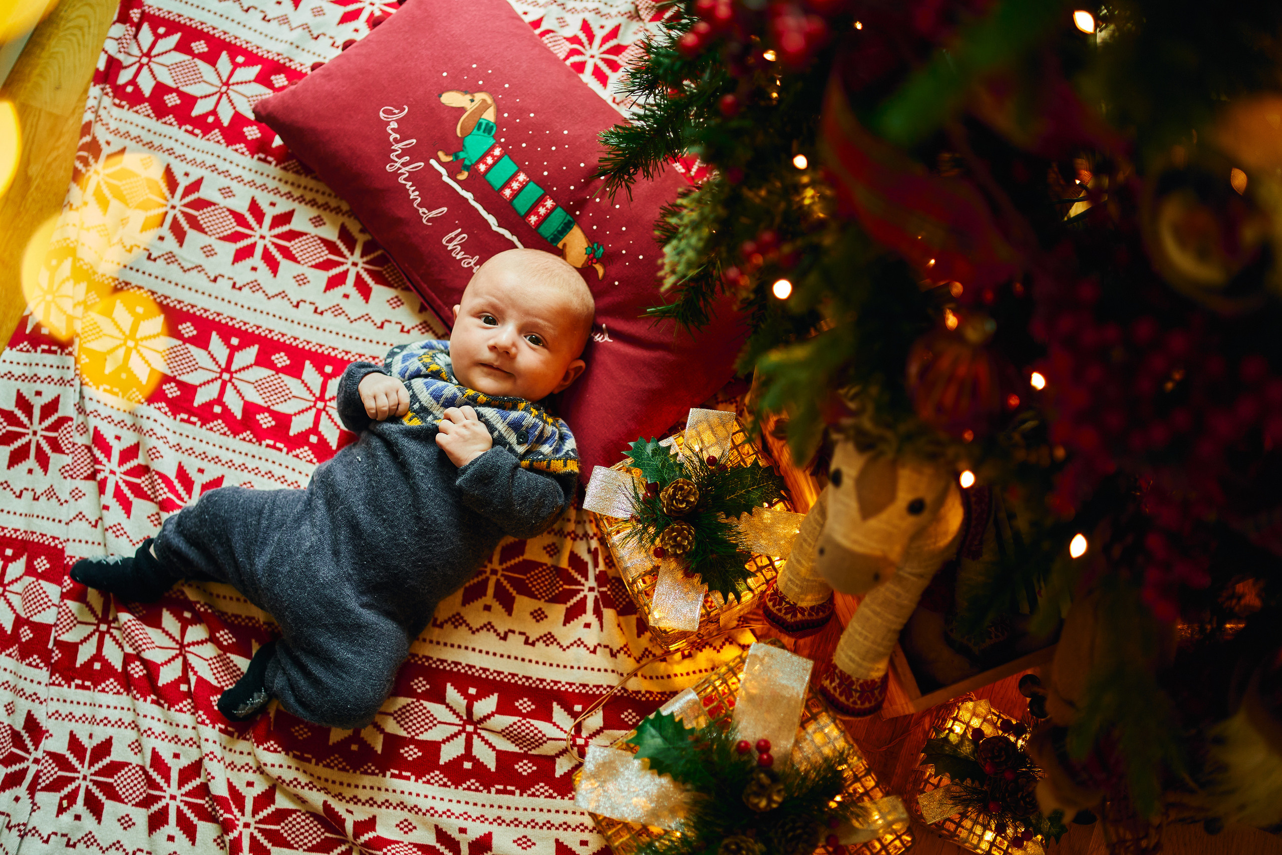 FIRST CHRISTMAS. Professional garden design and photography services in London
