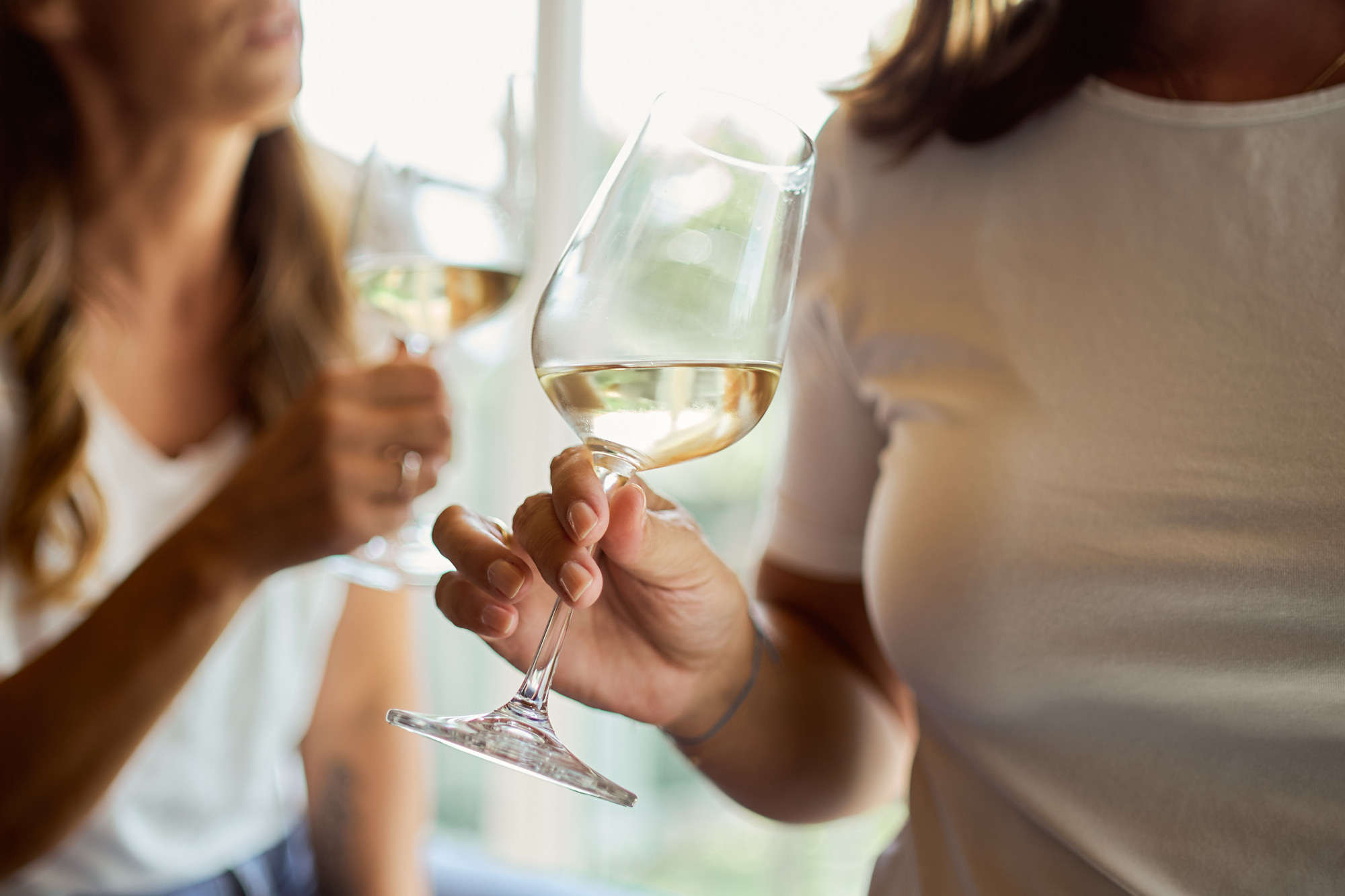 FRIENDS WILL BE FRIENDS. Professional garden design and photography services in London