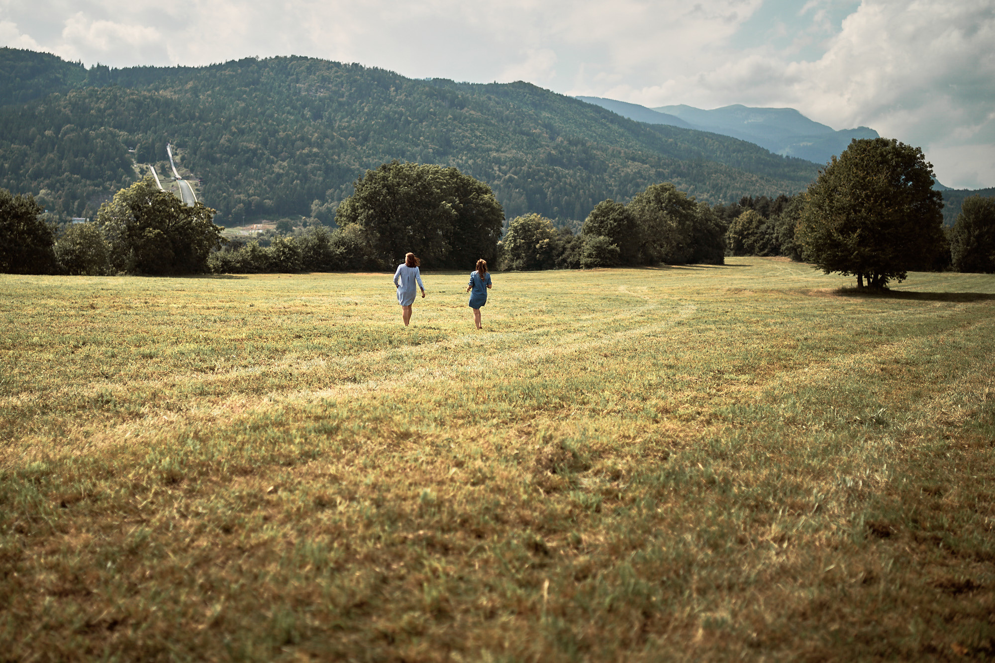 FRIENDS WILL BE FRIENDS. Professional garden design and photography services in London