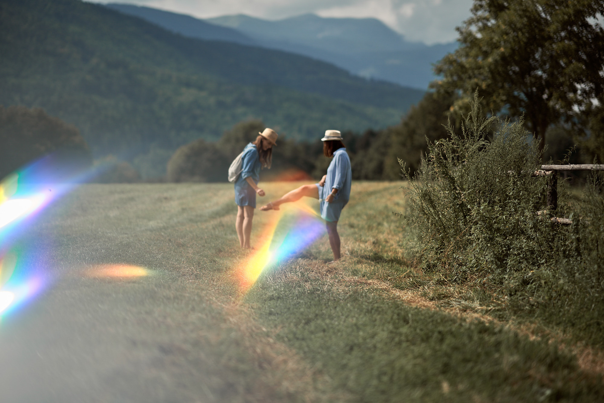 FRIENDS WILL BE FRIENDS. Professional garden design and photography services in London