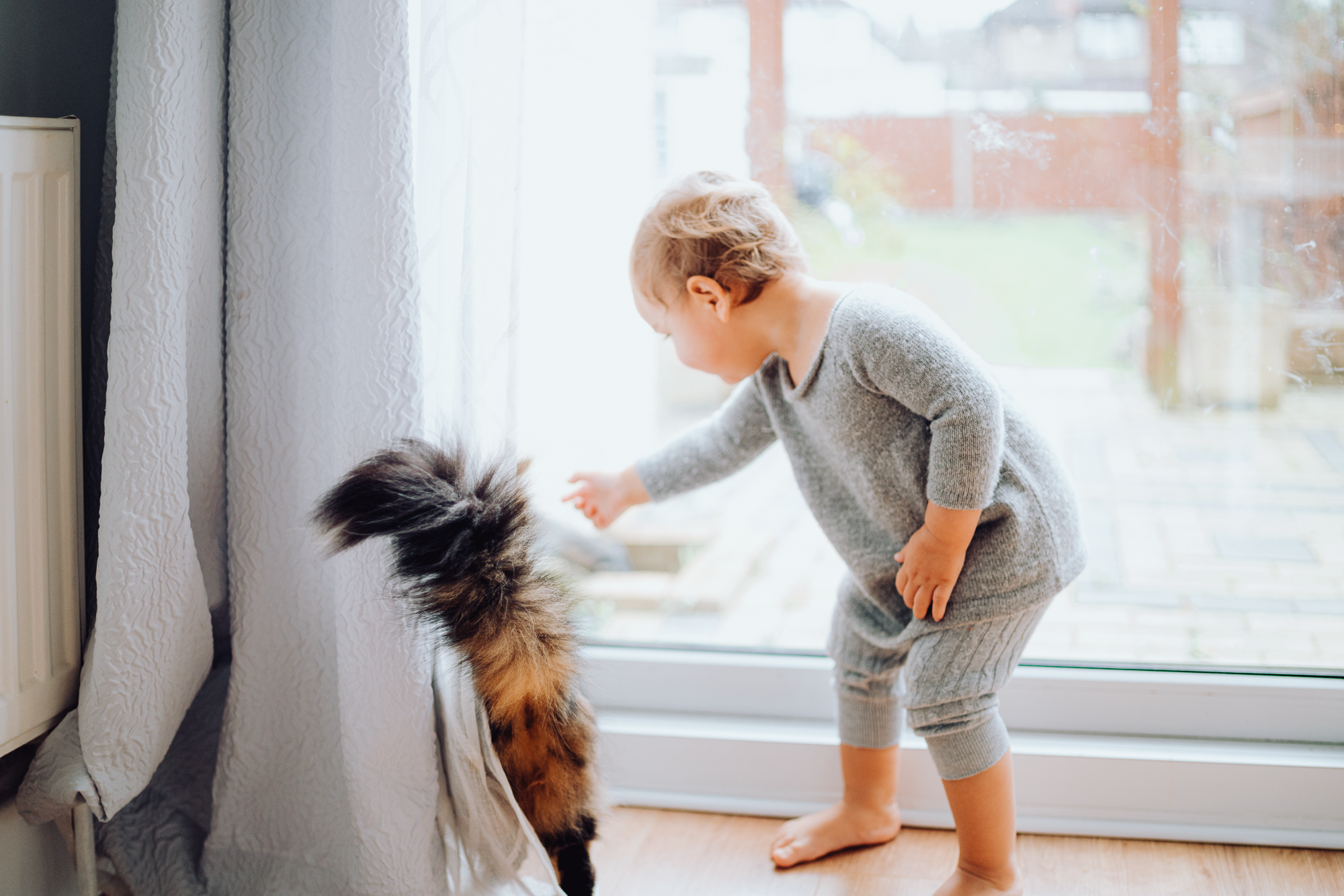 Christmas Time. Профессиональные услуги по садовому дизайну и фотосъёмке в Лондоне
