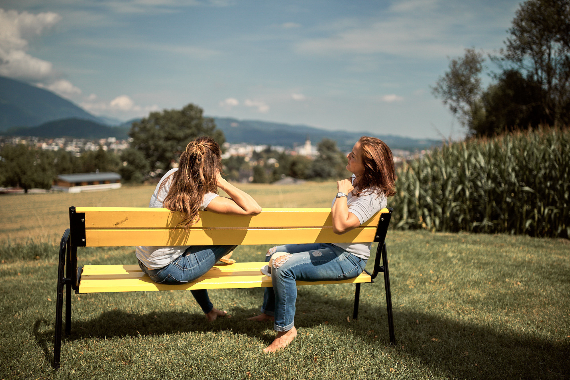 FRIENDS WILL BE FRIENDS. Professional garden design and photography services in London