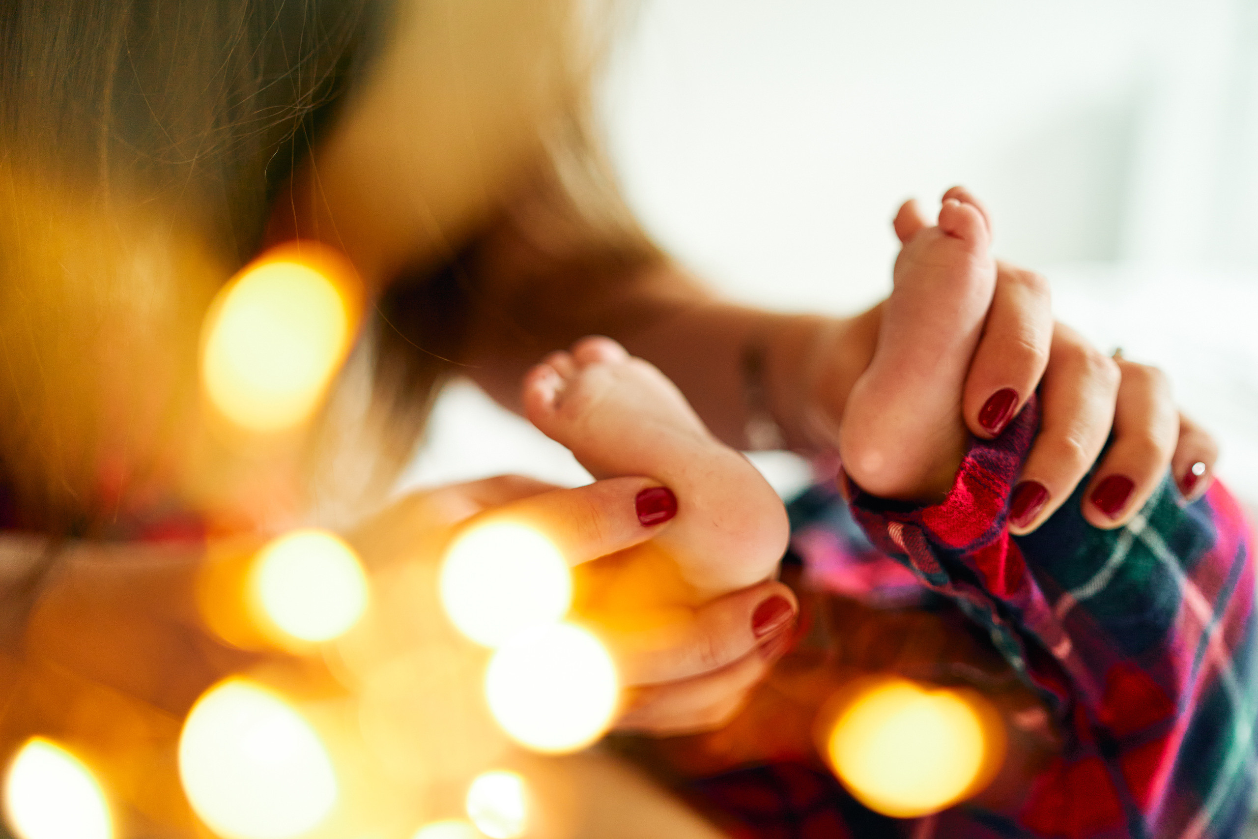 FIRST CHRISTMAS. Professional garden design and photography services in London