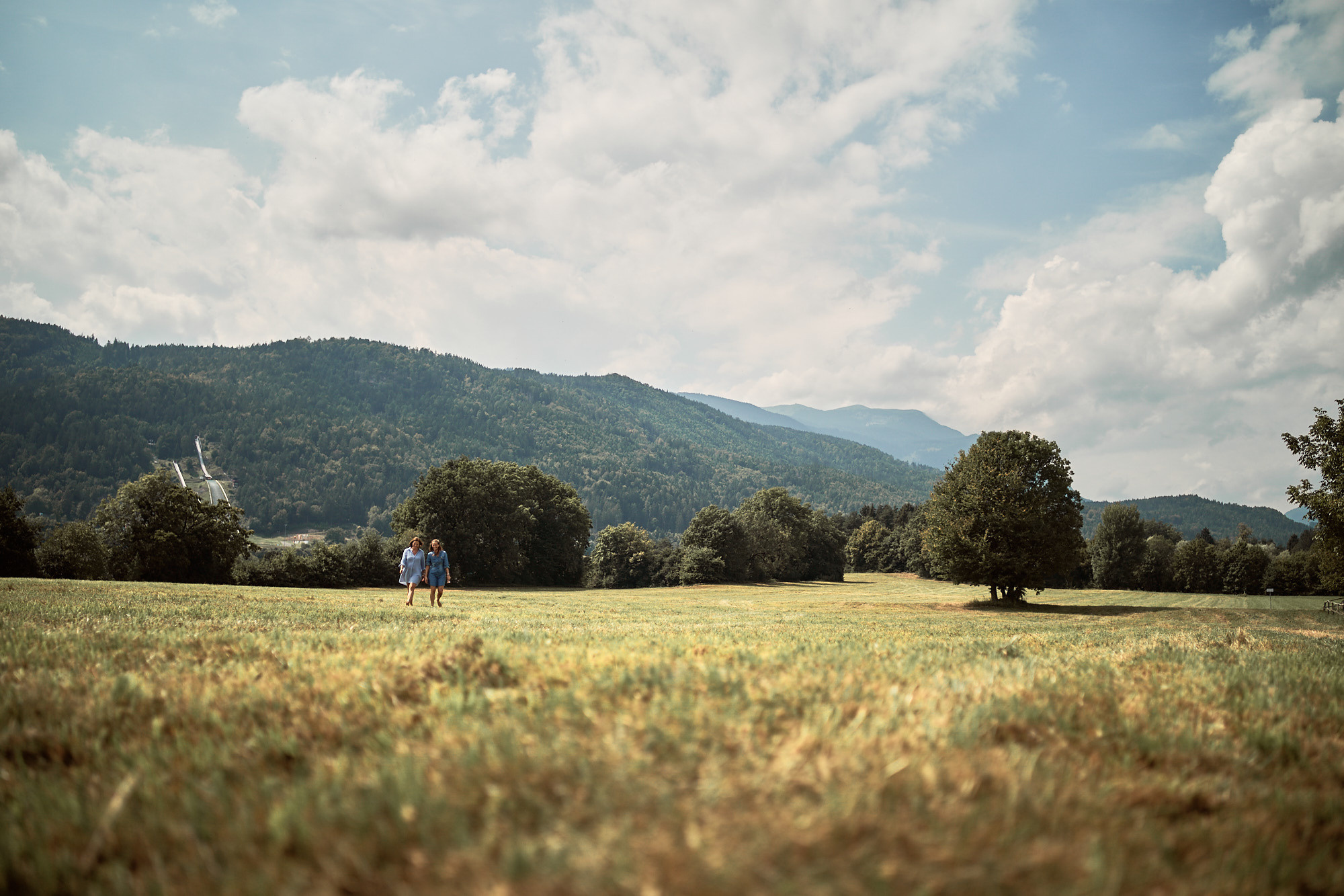 FRIENDS WILL BE FRIENDS. Professional garden design and photography services in London