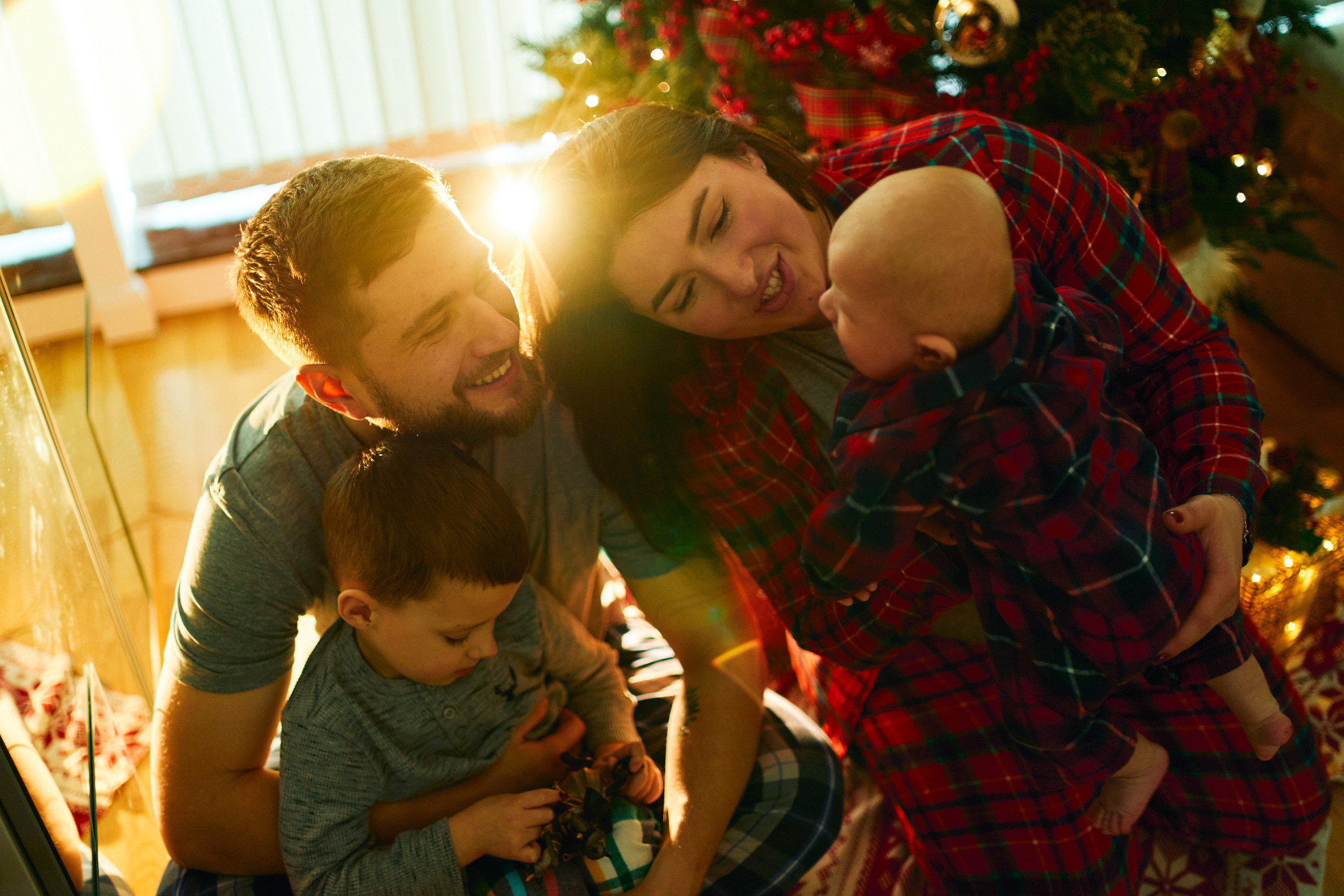 FIRST CHRISTMAS. Professional garden design and photography services in London