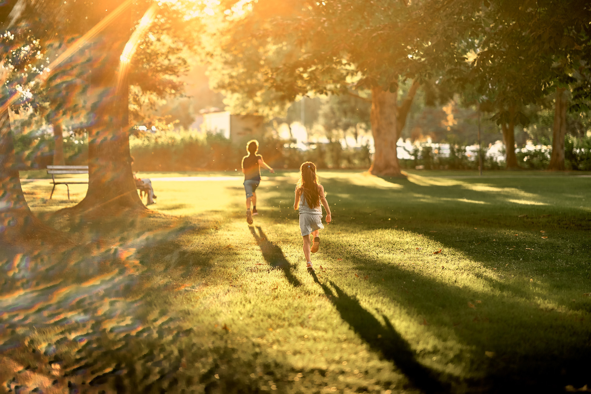 FRIENDS WILL BE FRIENDS. Professional garden design and photography services in London