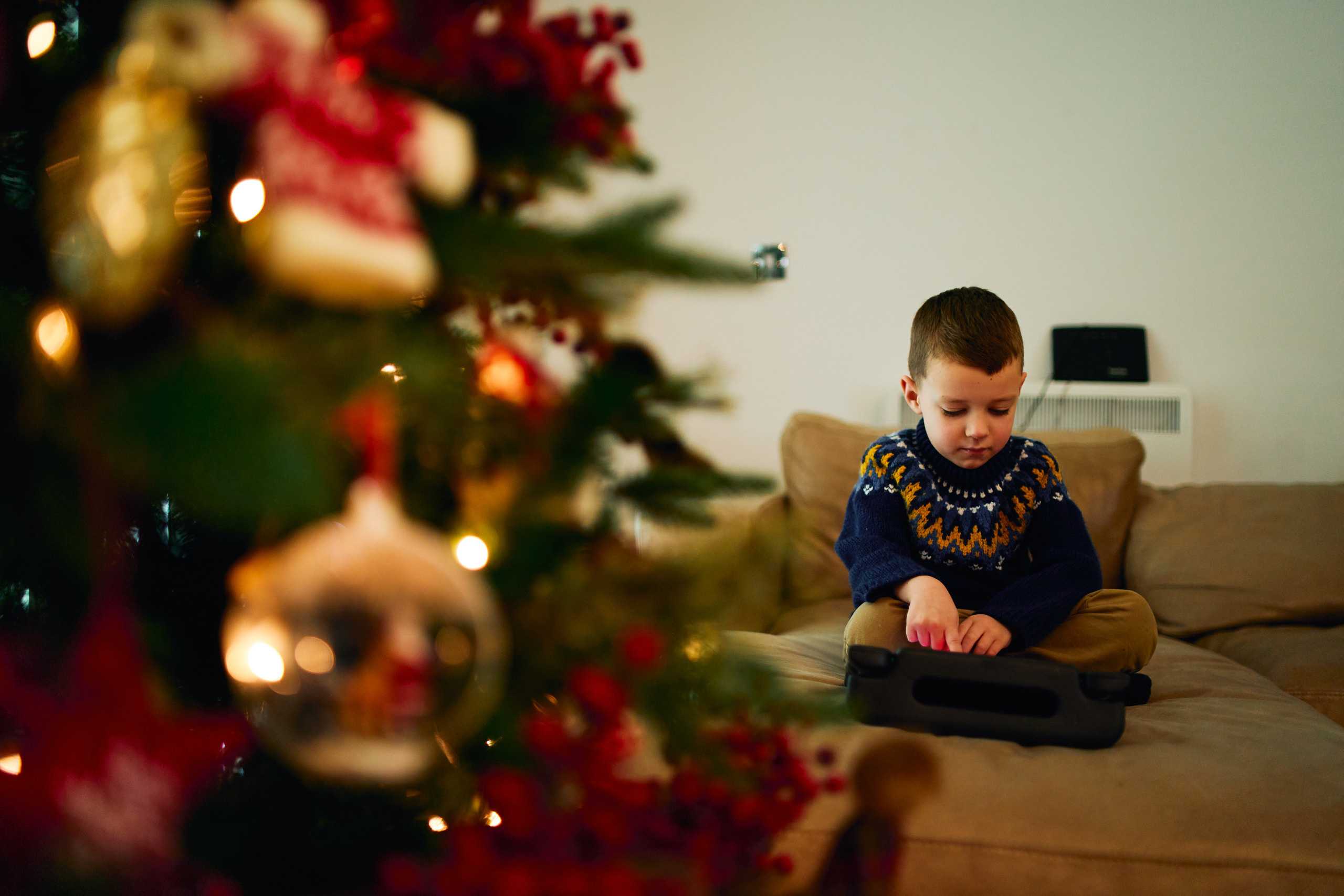 FIRST CHRISTMAS. Professional garden design and photography services in London