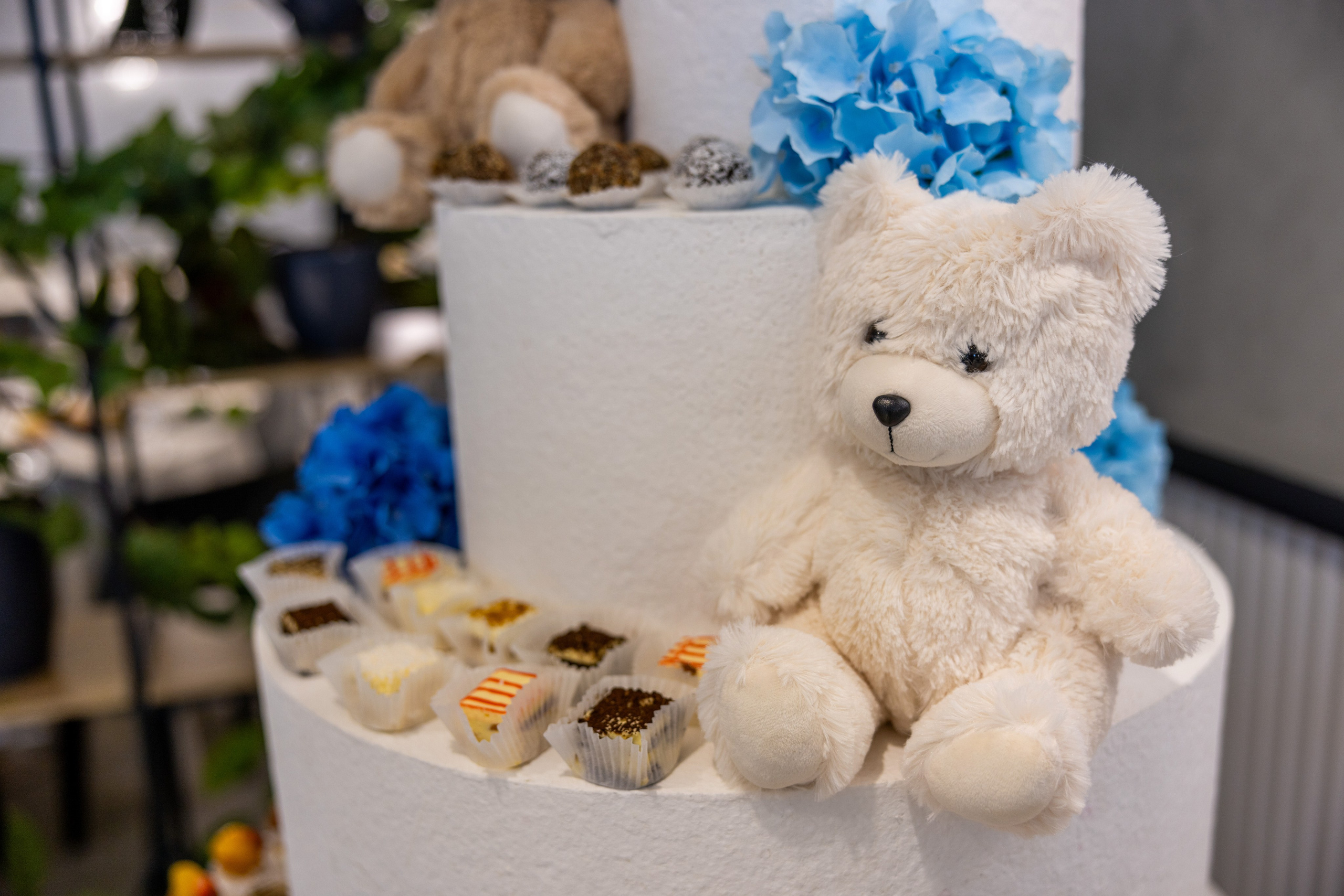 Mark. Furduidumitru.com