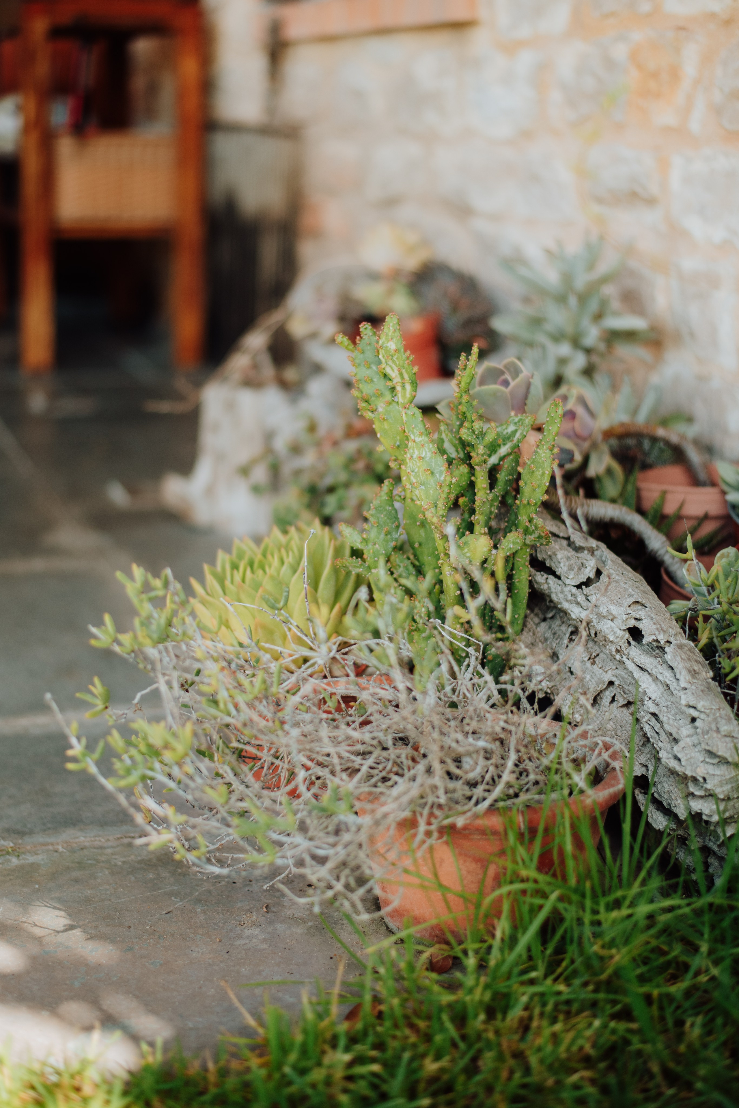 YOGA RETREAT PORTUGAL. Lifestyle, wedding and family photographer