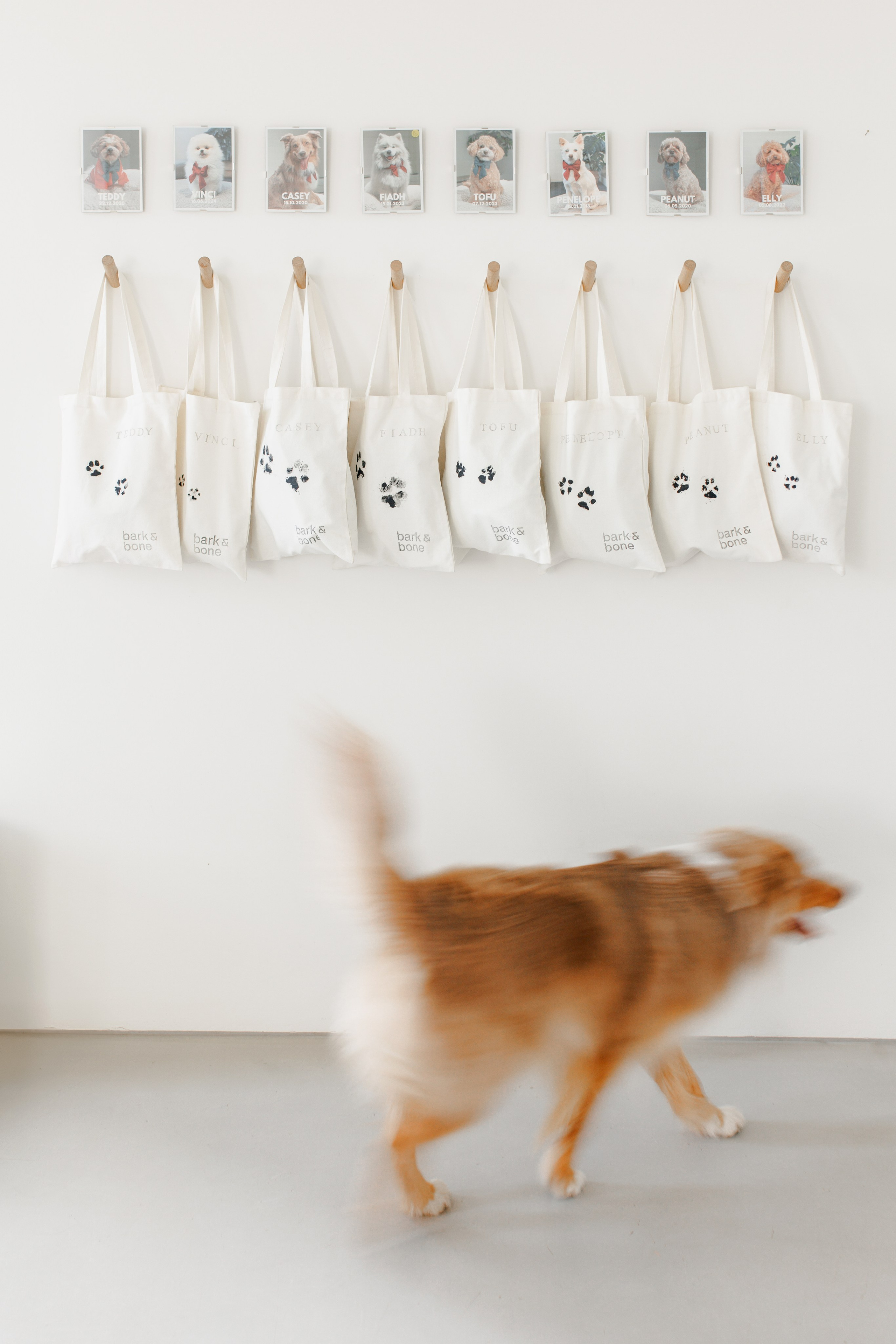 Bark & Bones. Familien- & Hochzeitsfotografin Schweiz. Valeria Diaz in Zürich und Umgebung