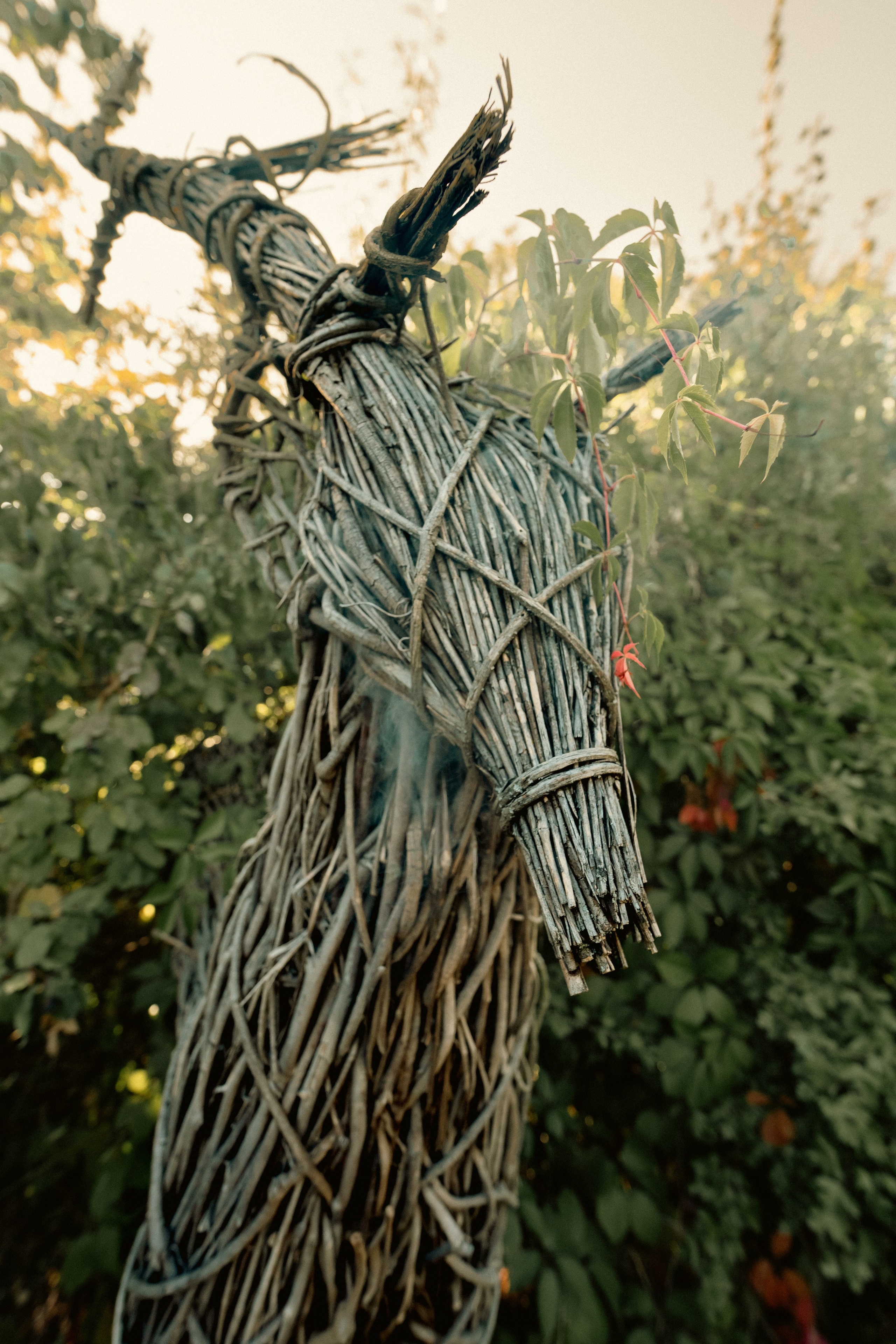 Secret Garden Rave. Stevenson.Visual.Lab — Professional Photo/Video in Berlin