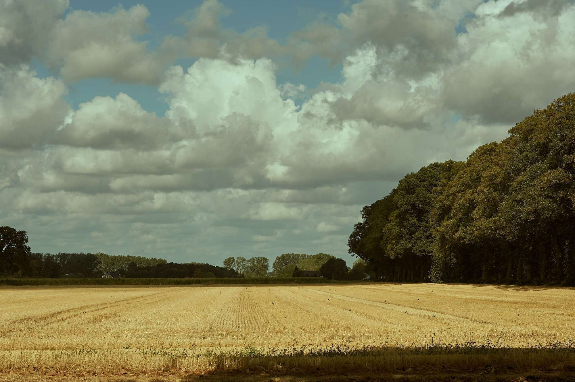 Selection Documentary. Fotograaf Amsterdam - Victoria Ushkanova