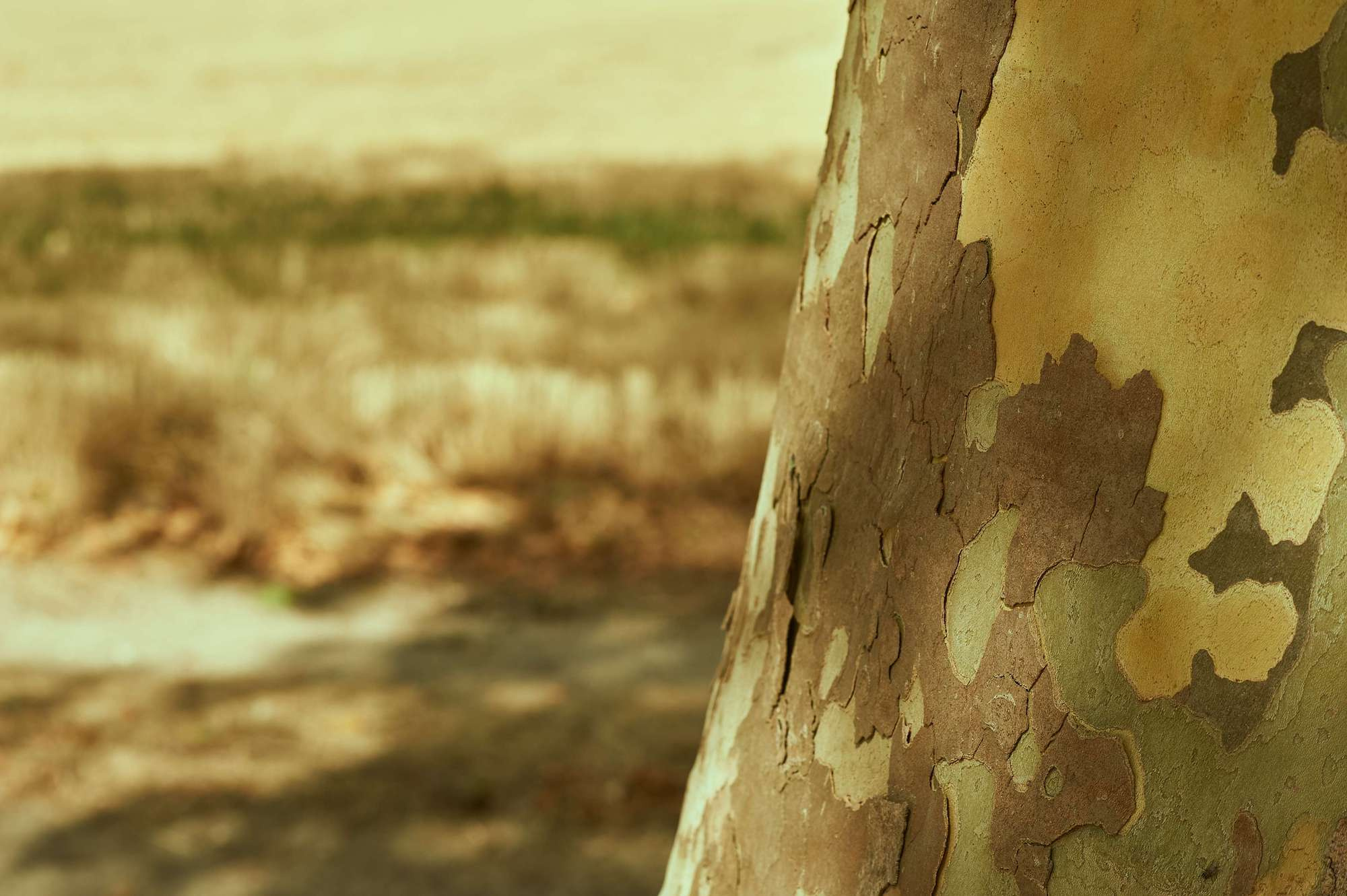 Selection Documentary. Fotograaf Amsterdam - Victoria Ushkanova