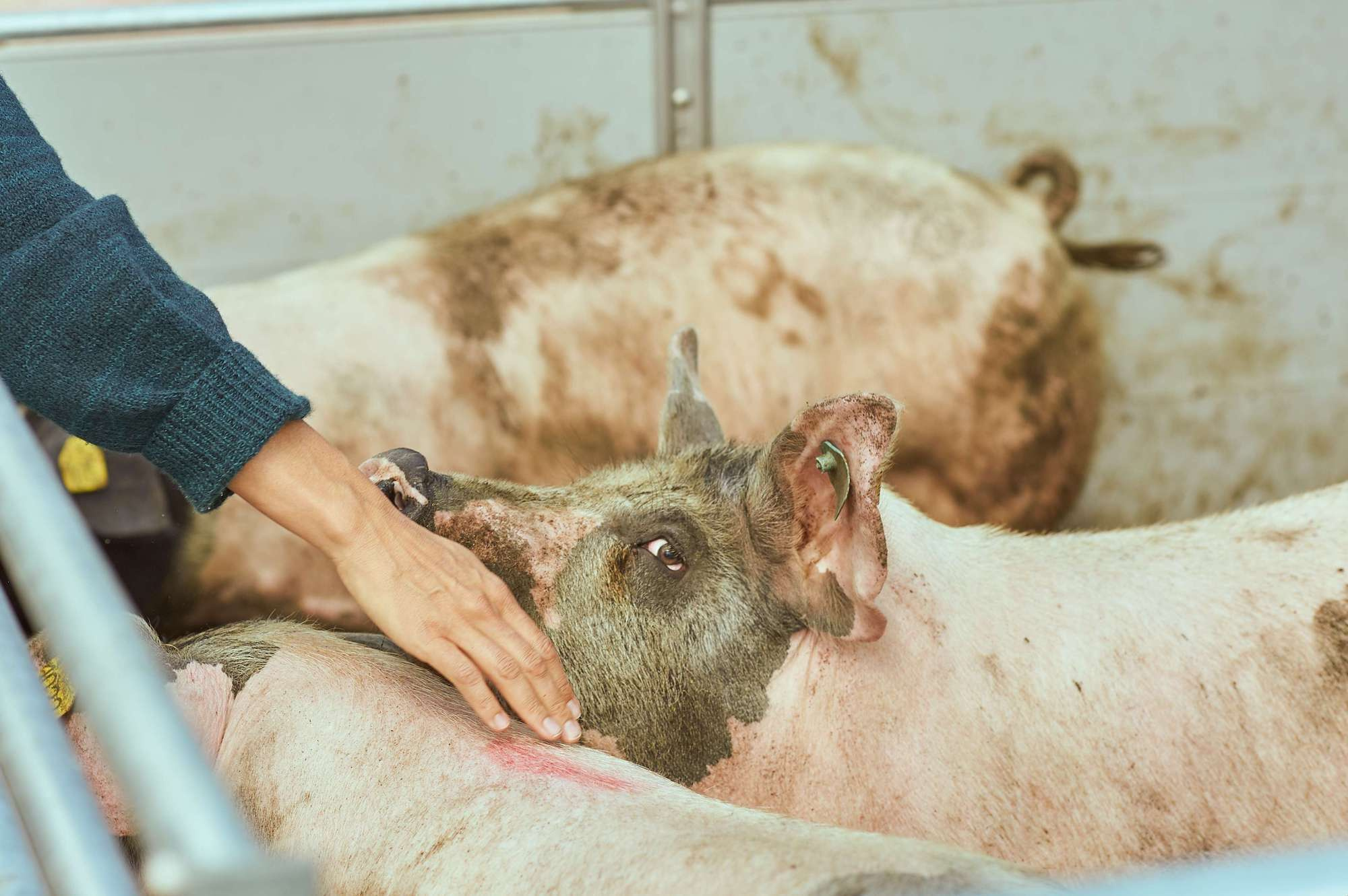 Selection Documentary. Fotograaf Amsterdam - Victoria Ushkanova