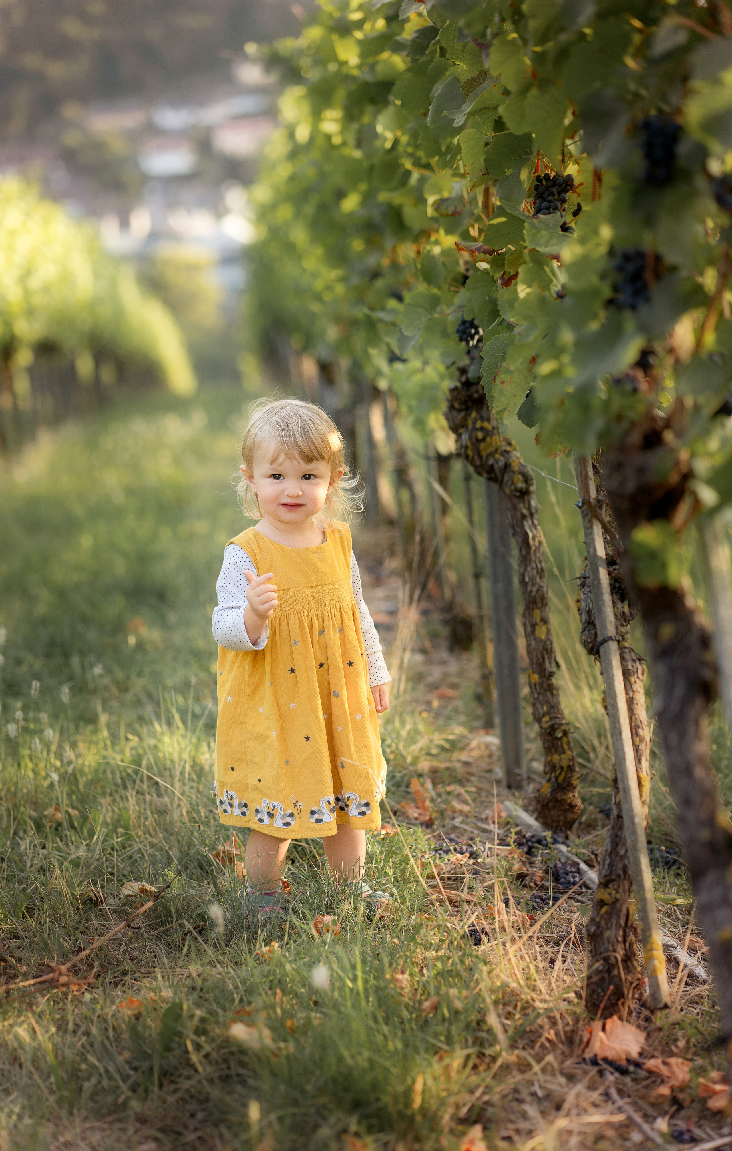 Fotograf aus Künzelsau. Kinder- und Familienfoto-Sessions