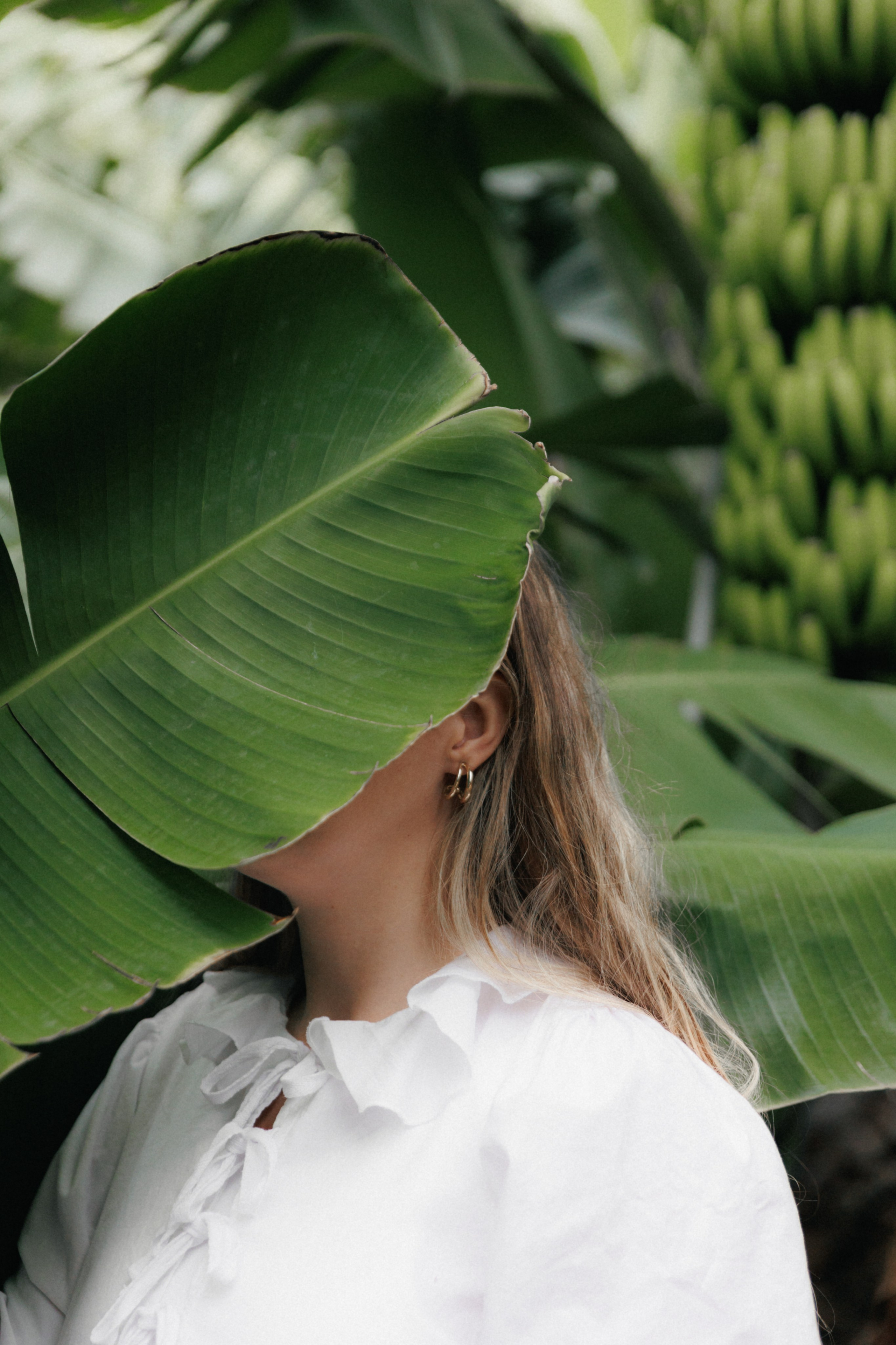 Lost in Madeira. Patricia Morenci — Mountain Adventures for the Wild at Heart