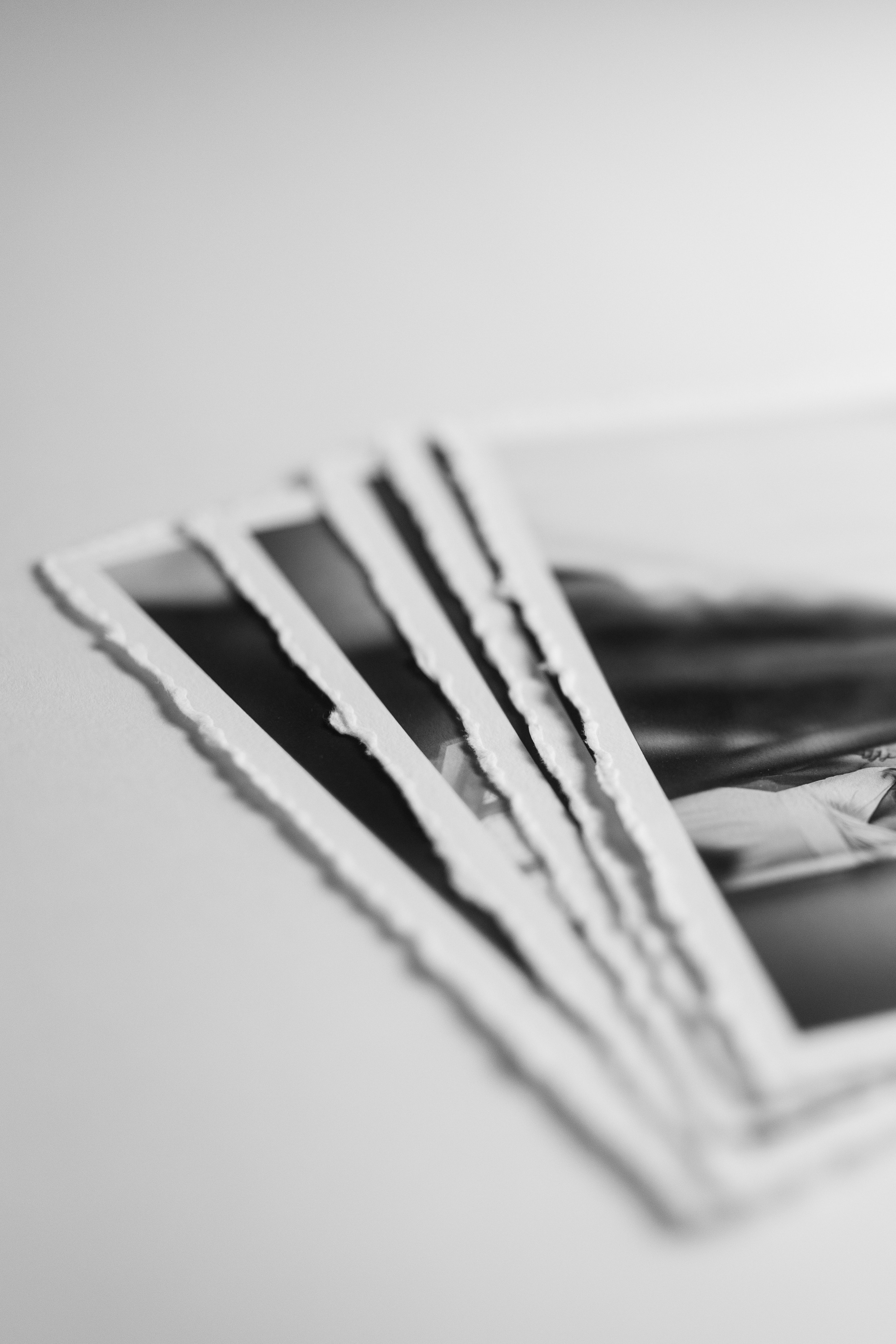 Fine Art Albums & Prints | Anna Dobrovolskaia