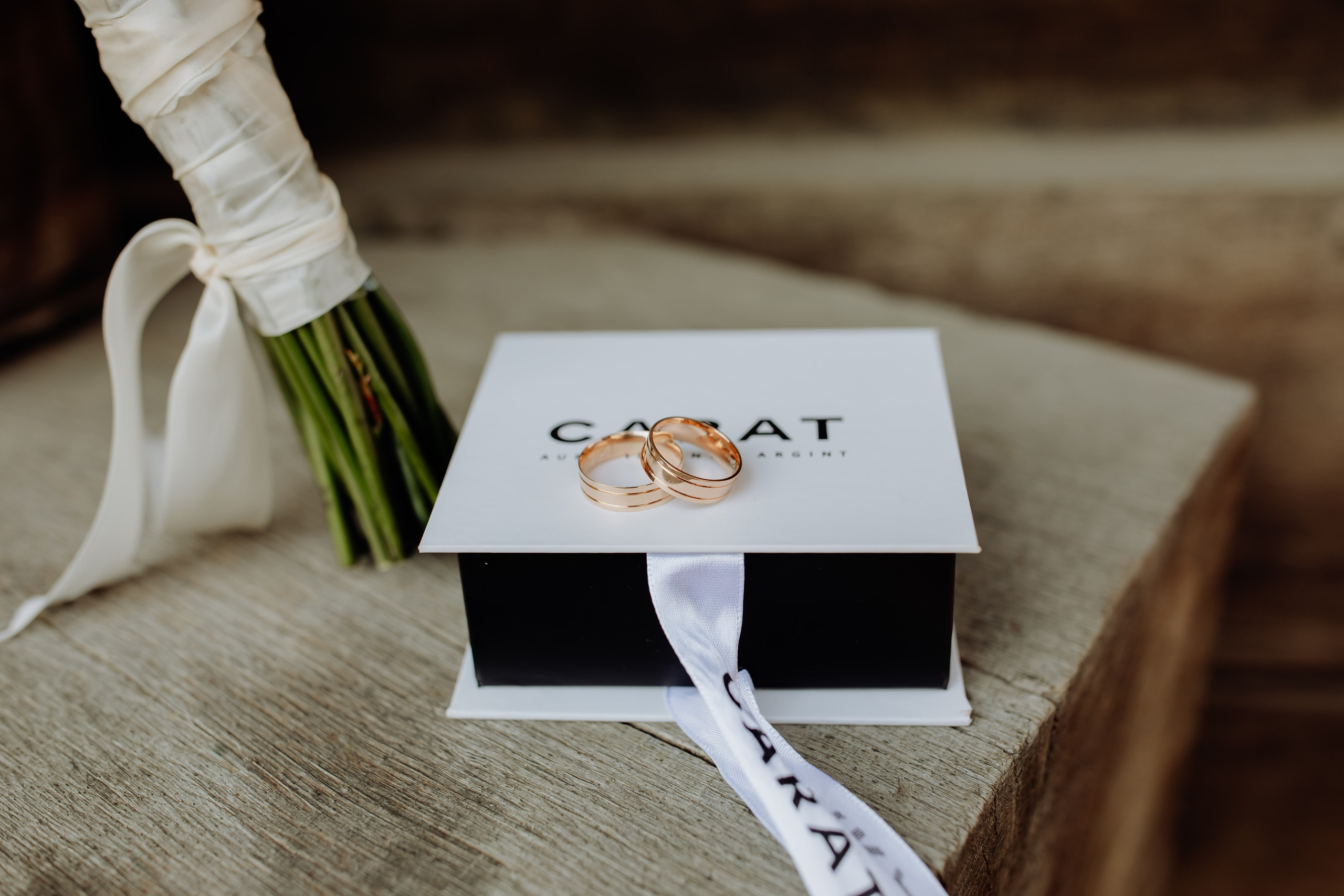 Tudor & Valeria. Servicii Foto/Video