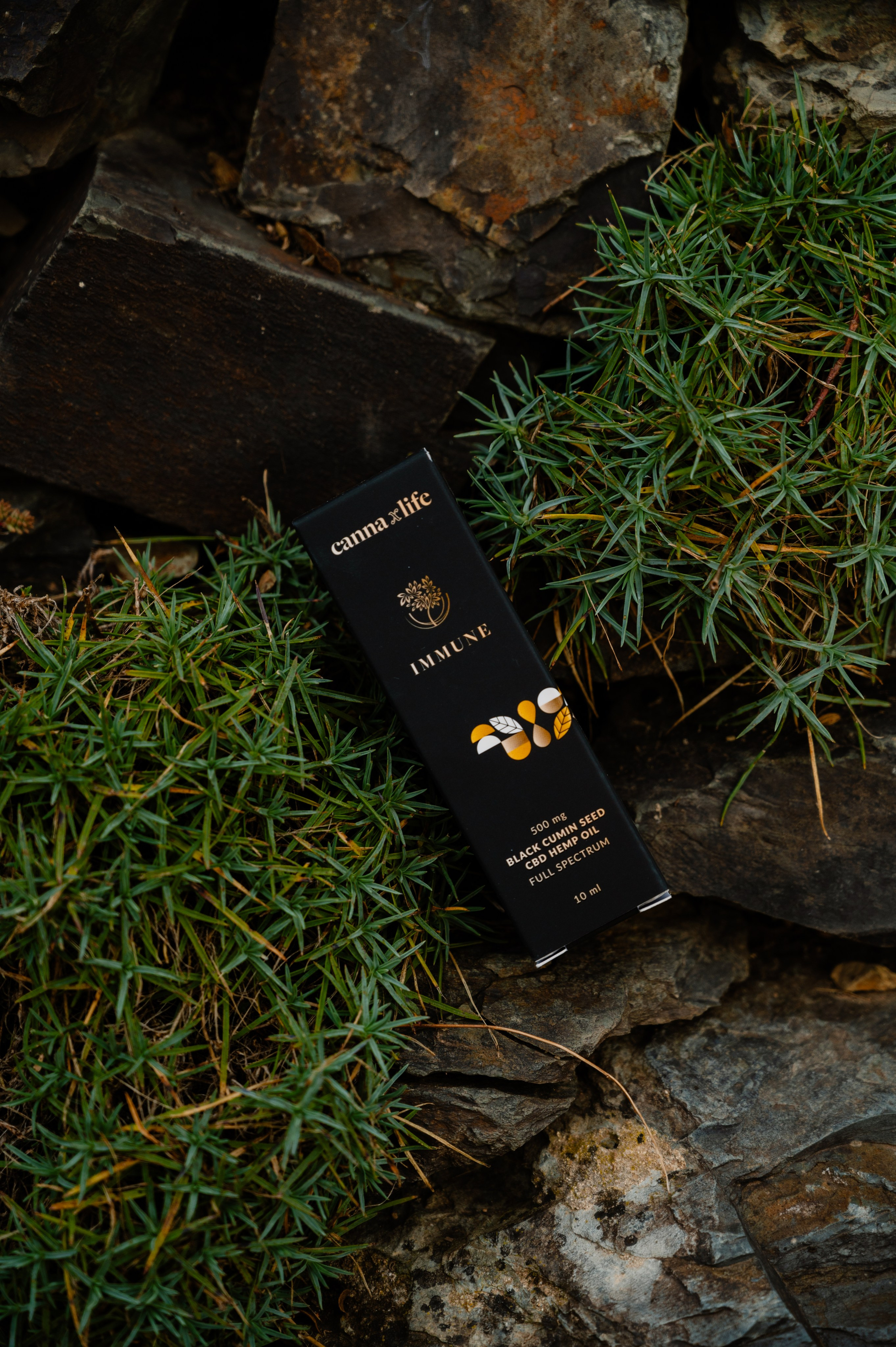 CannaXlife CBD products. ANNA-MARIA PHOTO CONTENT CREATOR — фотограф, естет, художник і візуальний експерт Instagram у Празі