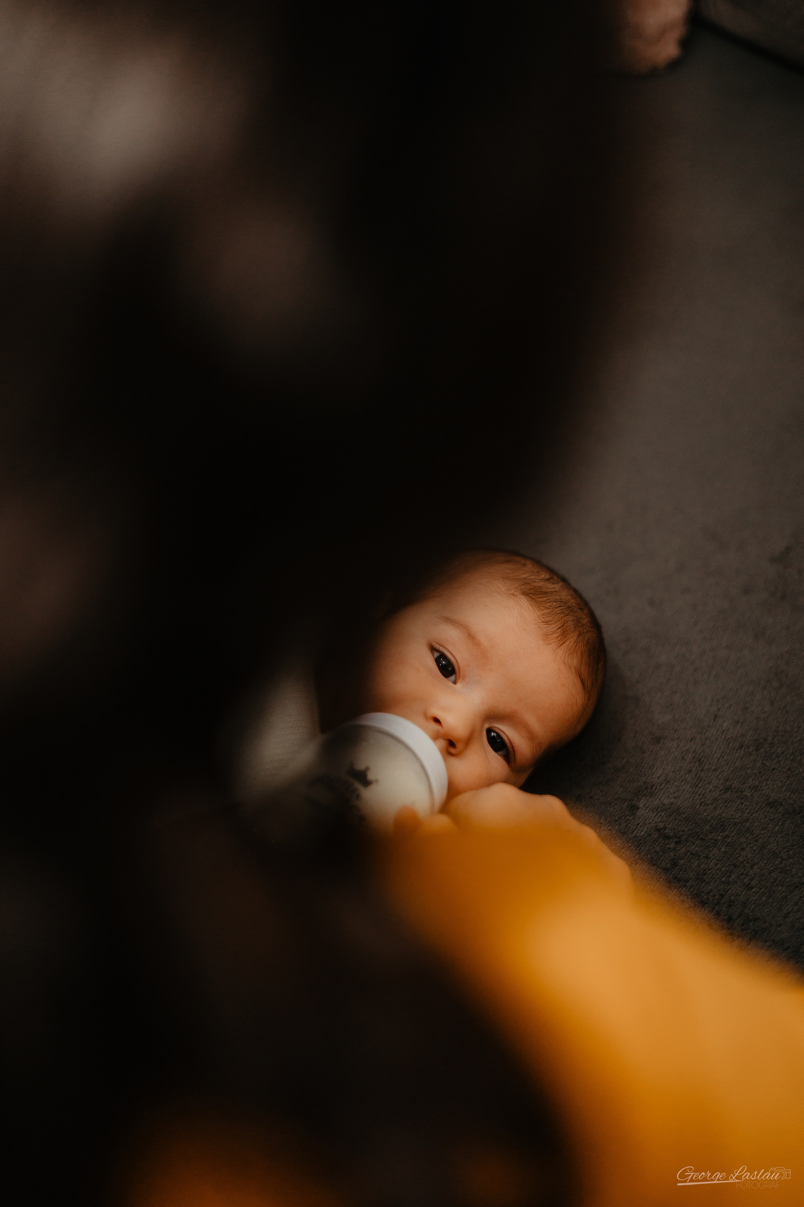 Filip Andrei. George Laslău Fotograf