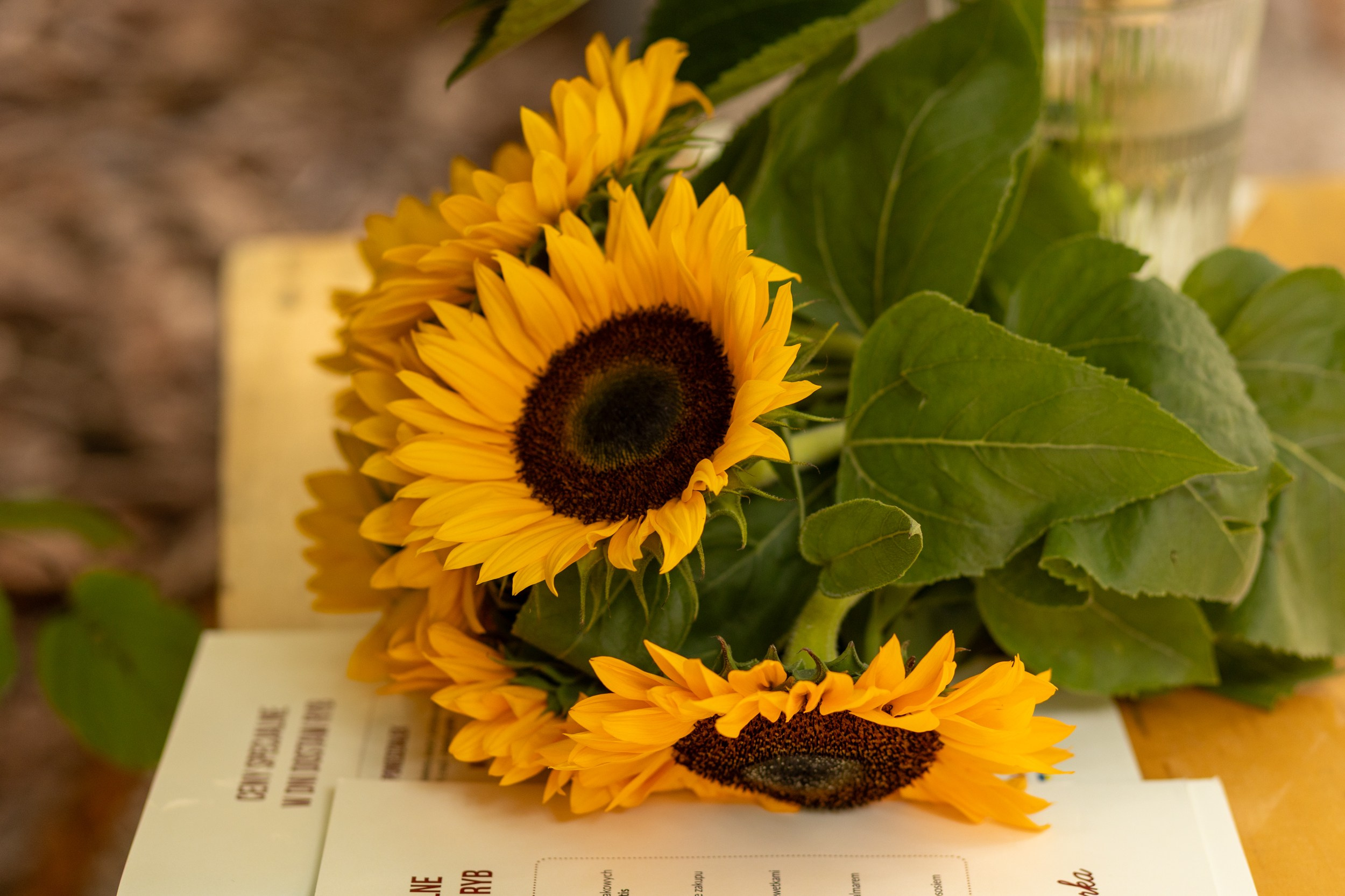 Наталья 04.08.2025. Семейный и детский фотограф в Варшаве Мила Бобровская