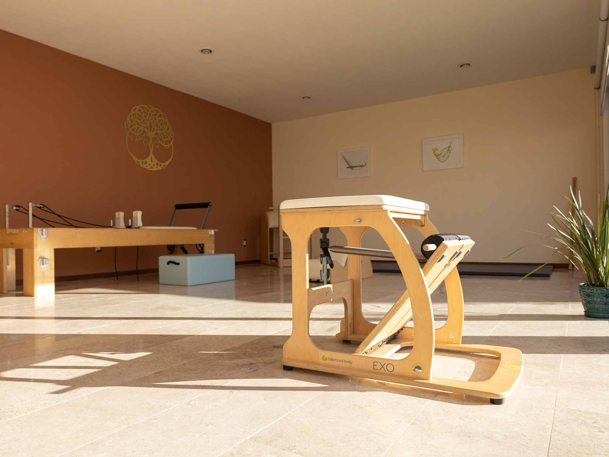 Pilates Studio. Lifestyle a rodinná fotografka v Pisku Oxana Telupilova