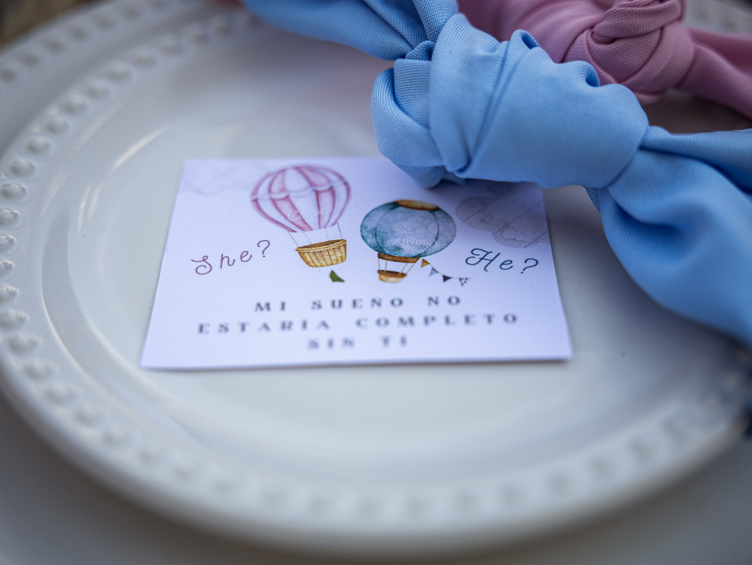 Gender Reveal party. Lifestyle a rodinná fotografka v Pisku Oxana Telupilova