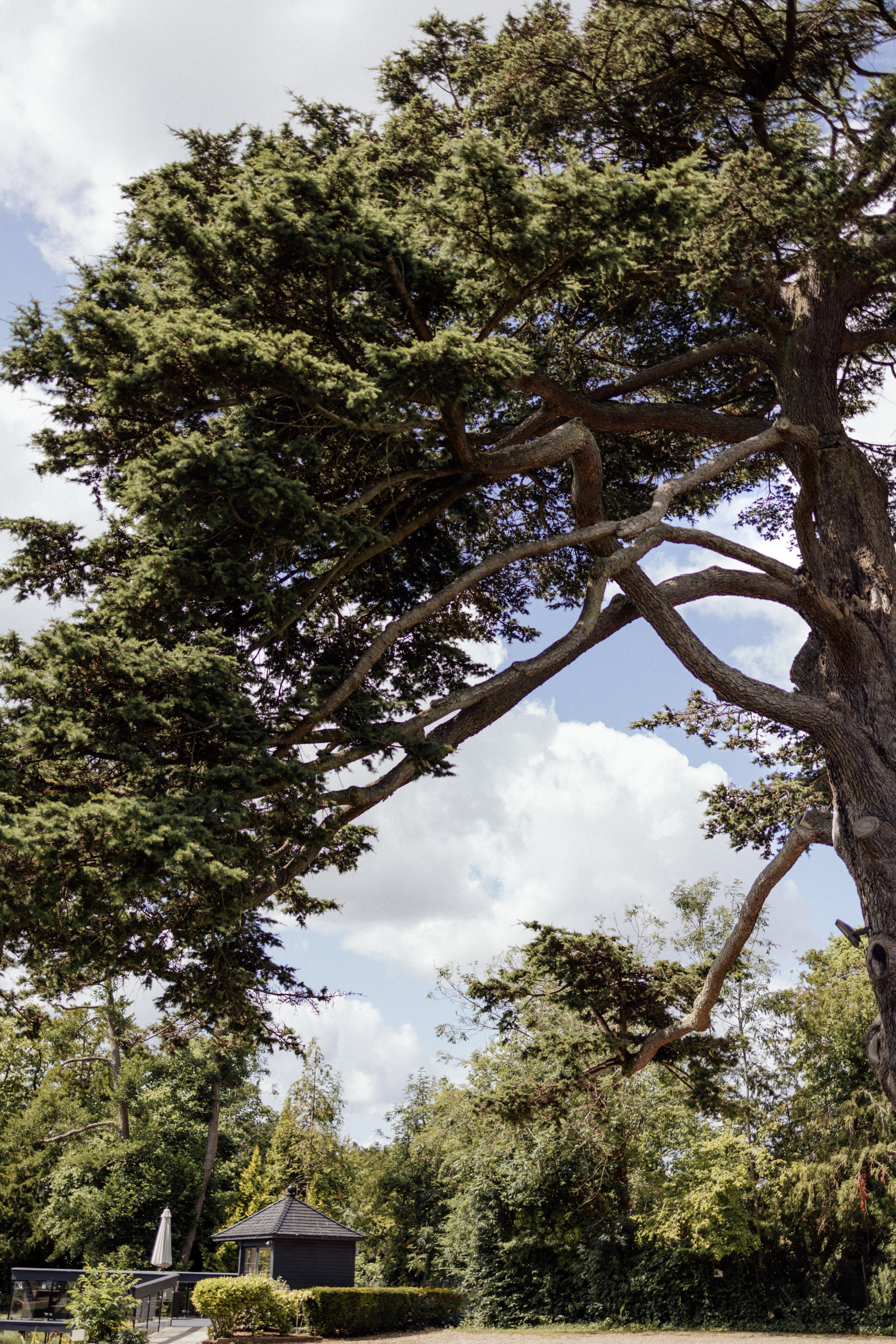 Elegant Wedding Photo Gallery in Hertfordshire. Timeless Wedding & Event Photography — based London, working across Europe