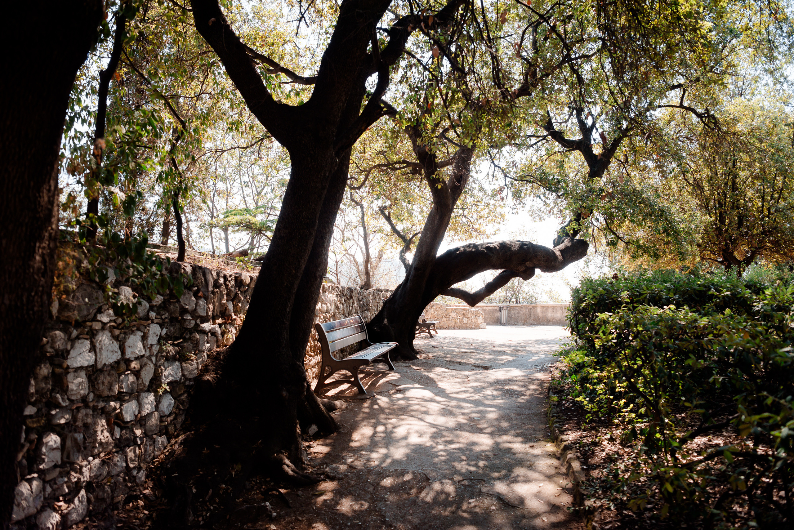 SOCIAL MEDIA CONTENT FOR ASTROLOGER. MARIA VALUEVA Photographer in Nice, Cannes, Monaco, France, Europe, Istanbul, Turkey