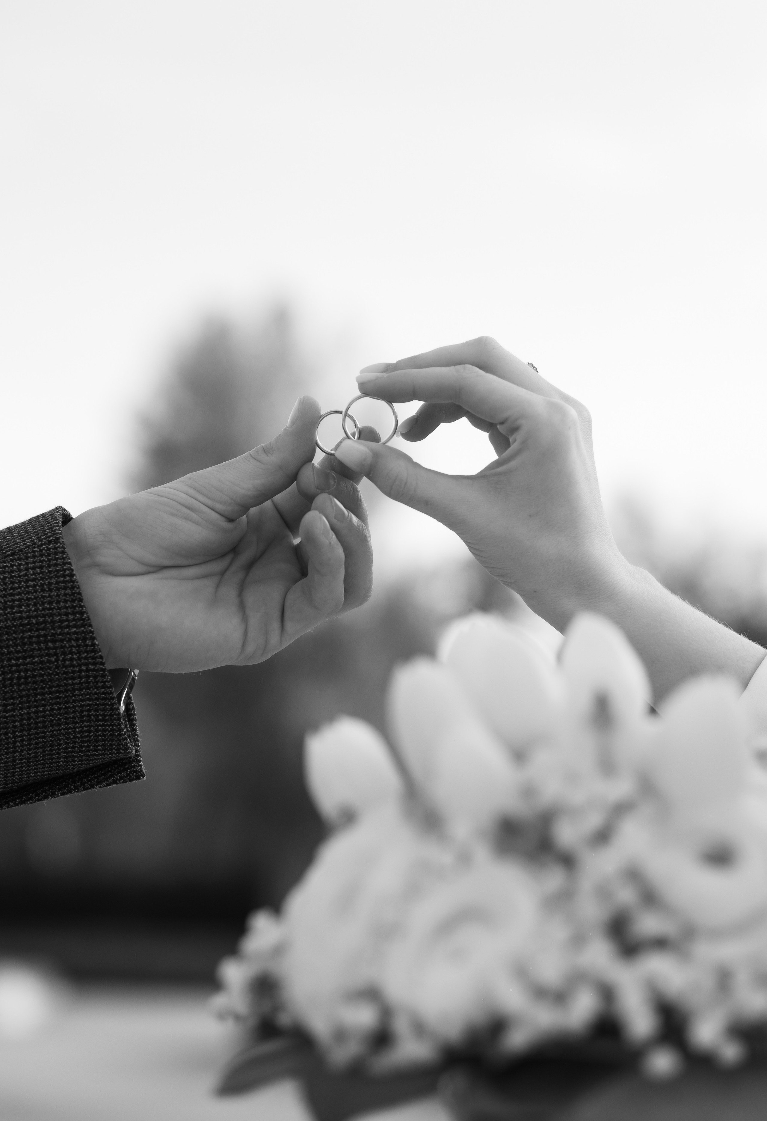 N&C. Grosu Photography