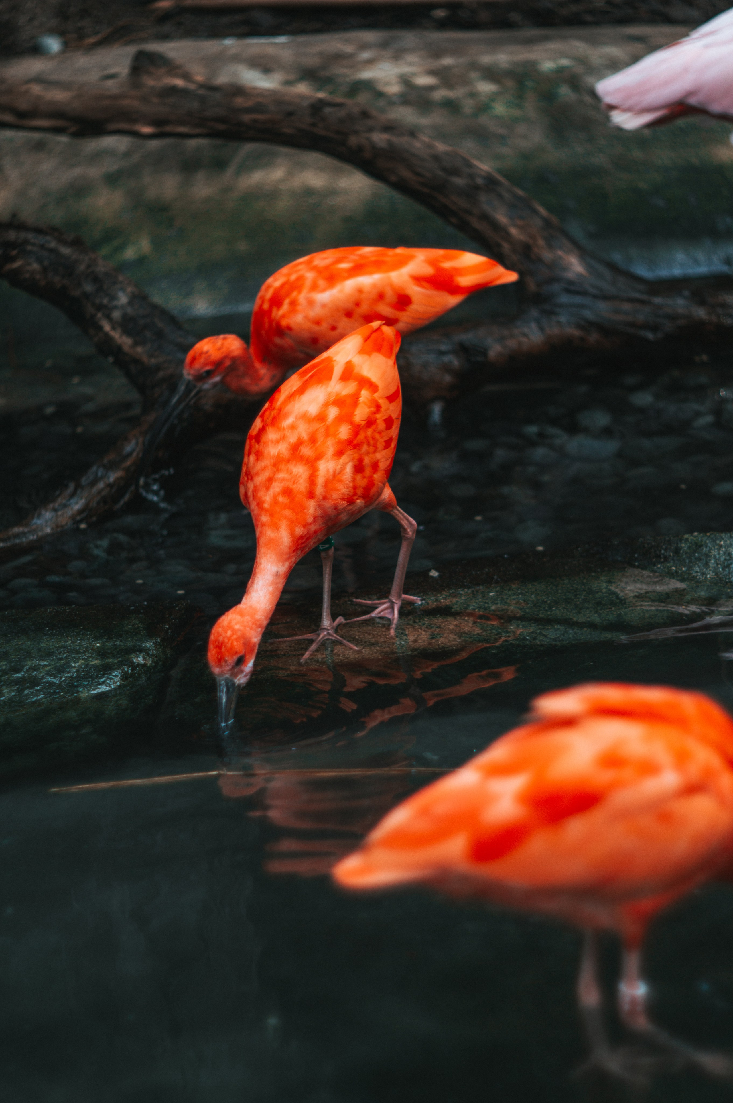 Франция. Анастасия Благова — Твой фотограф в Малаге 🇪🇸