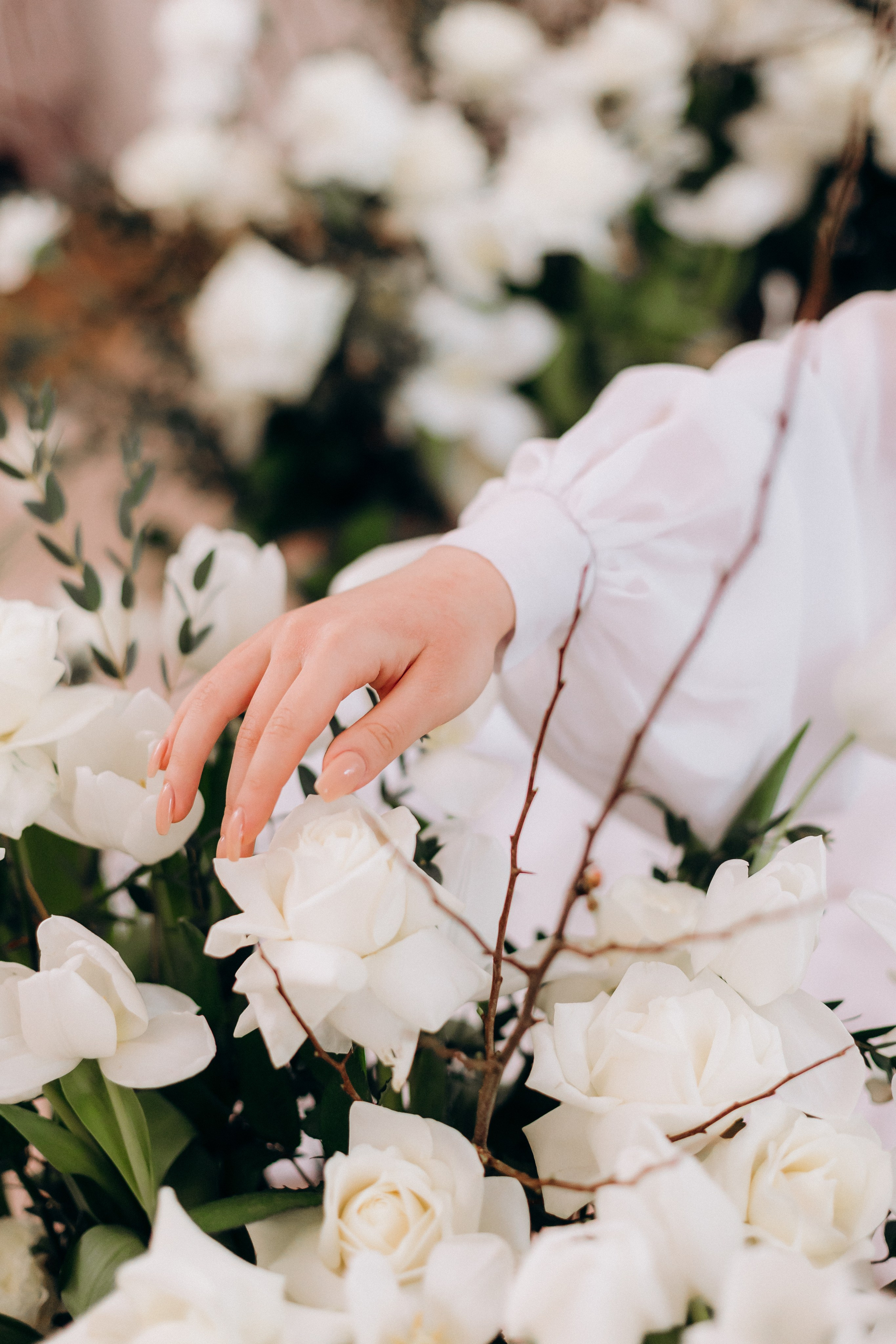 Inna. Wedding and Family Photograph