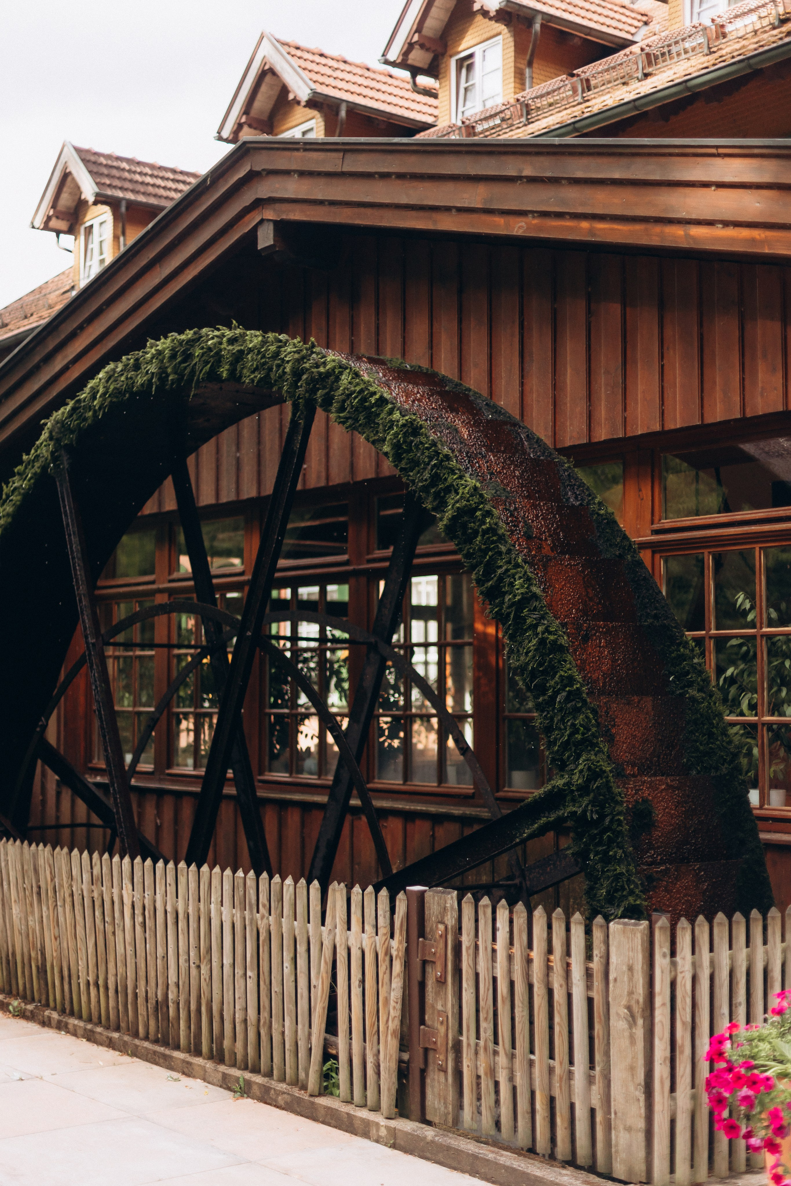 Sasha & Vika& Daniel. Wedding and Family Photograph