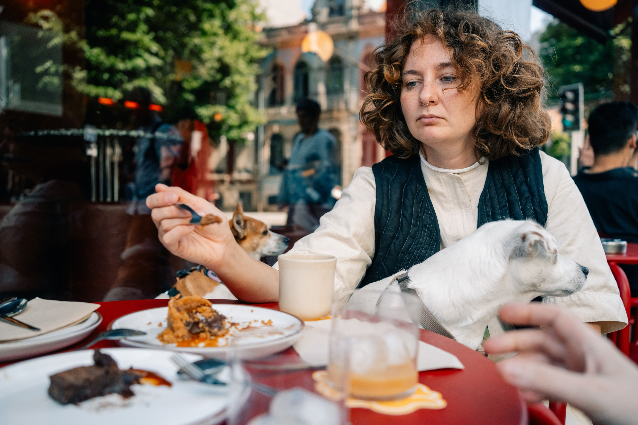 Yana & Pedro & Doggos. Maria Sher. Fotógrafa profissional do Porto, Portugal