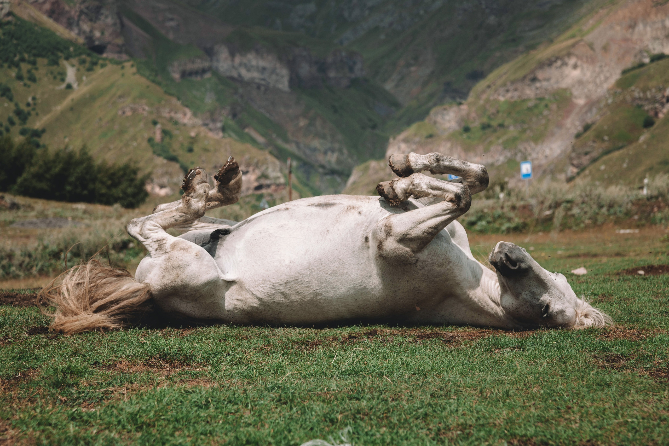 Landscapes. Wedding photographer Lyubov Sun Reutlingen