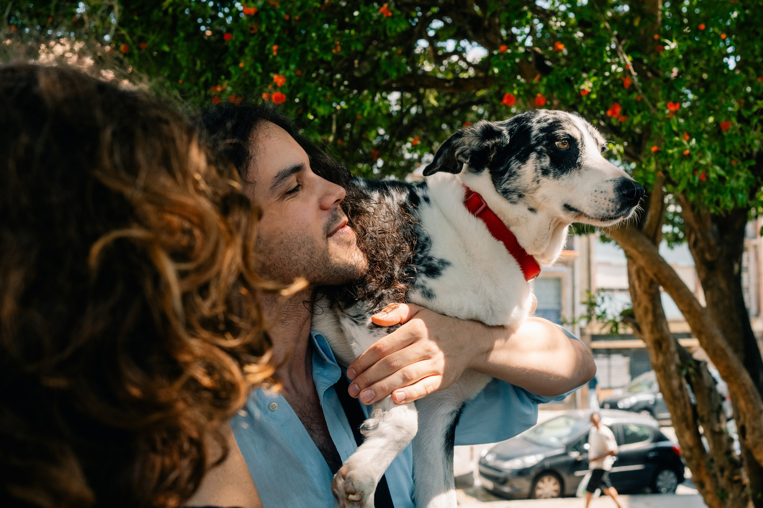 Yana & Pedro & Doggos. Maria Sher. Fotógrafa profissional do Porto, Portugal