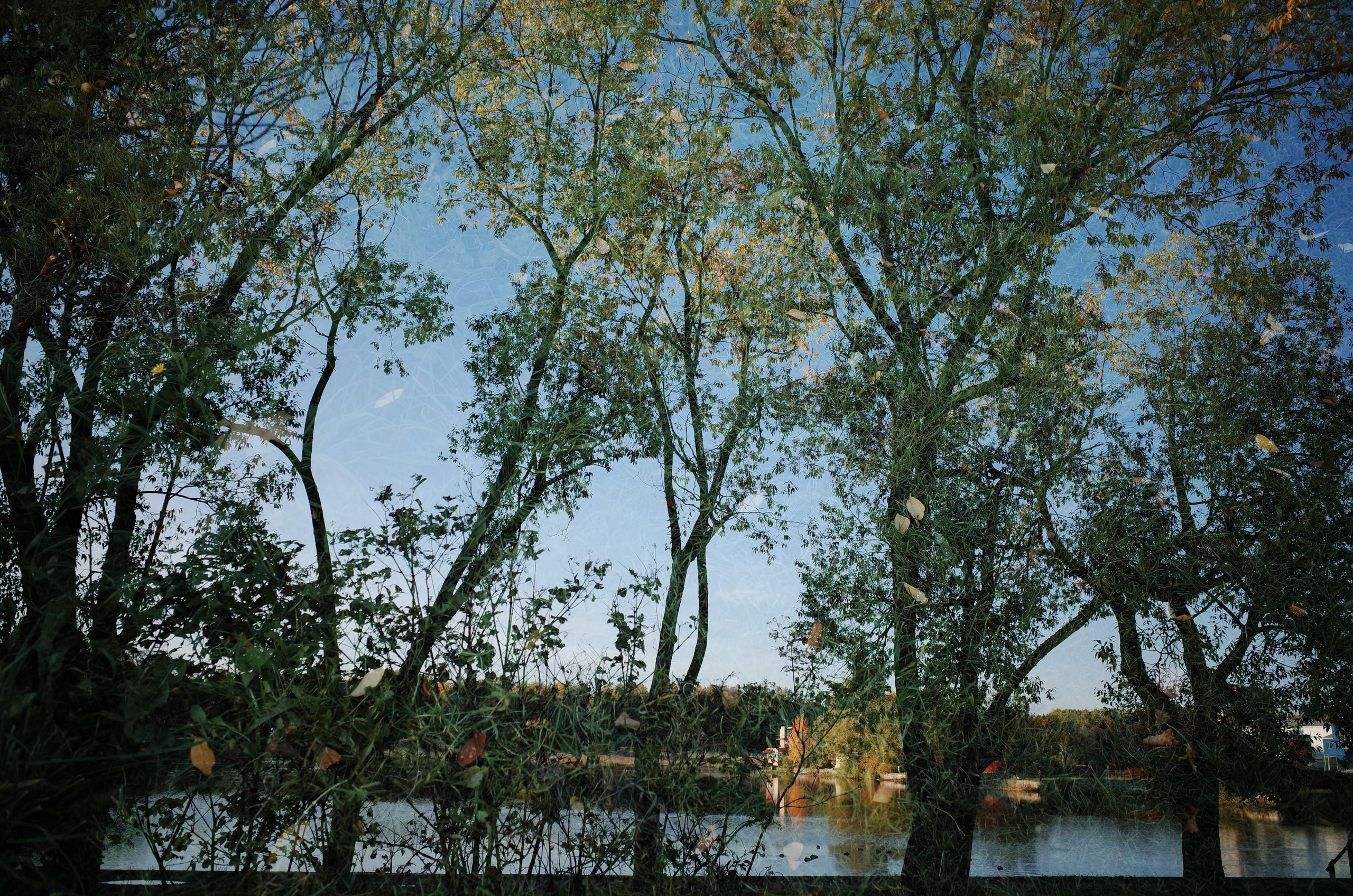 Little magic everythere. Виктория Дини. Арт-фотография